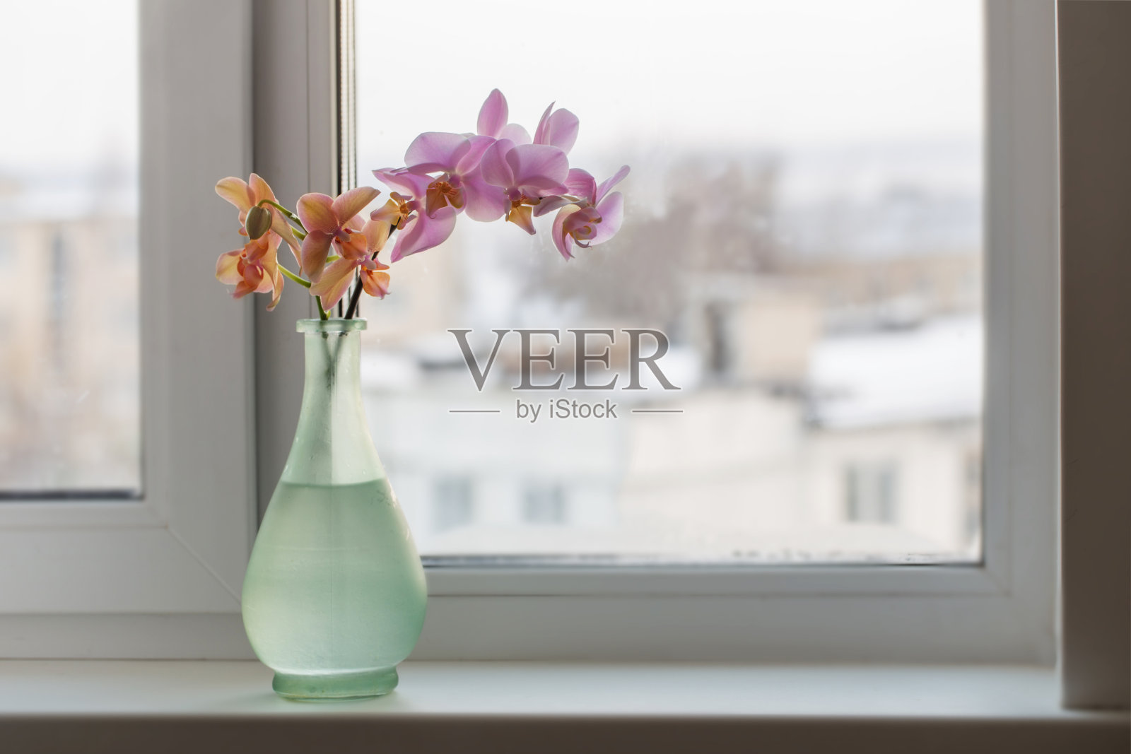窗台上绿花瓶里的兰花照片摄影图片