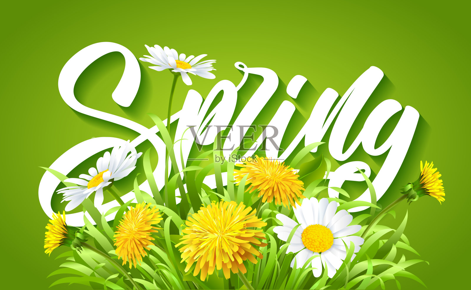 题词春天的时间在新鲜的春天背景草，蒲公英和雏菊。插画图片素材