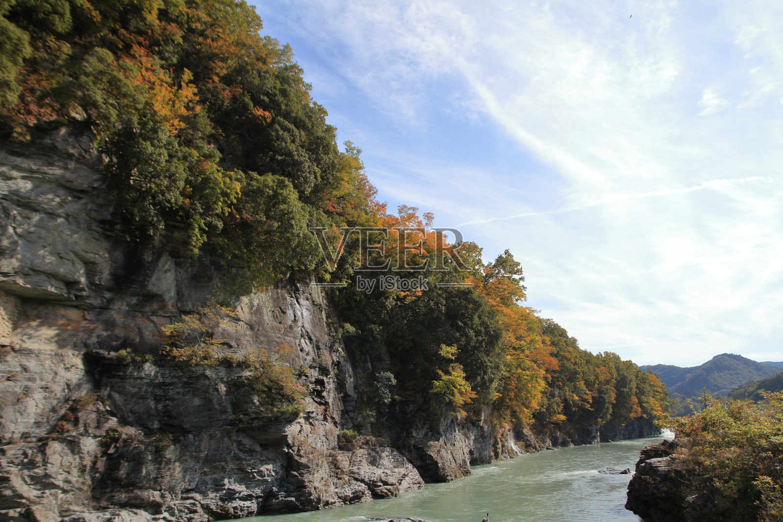 日本埼玉县永太郎秩父赤壁的秋叶照片摄影图片