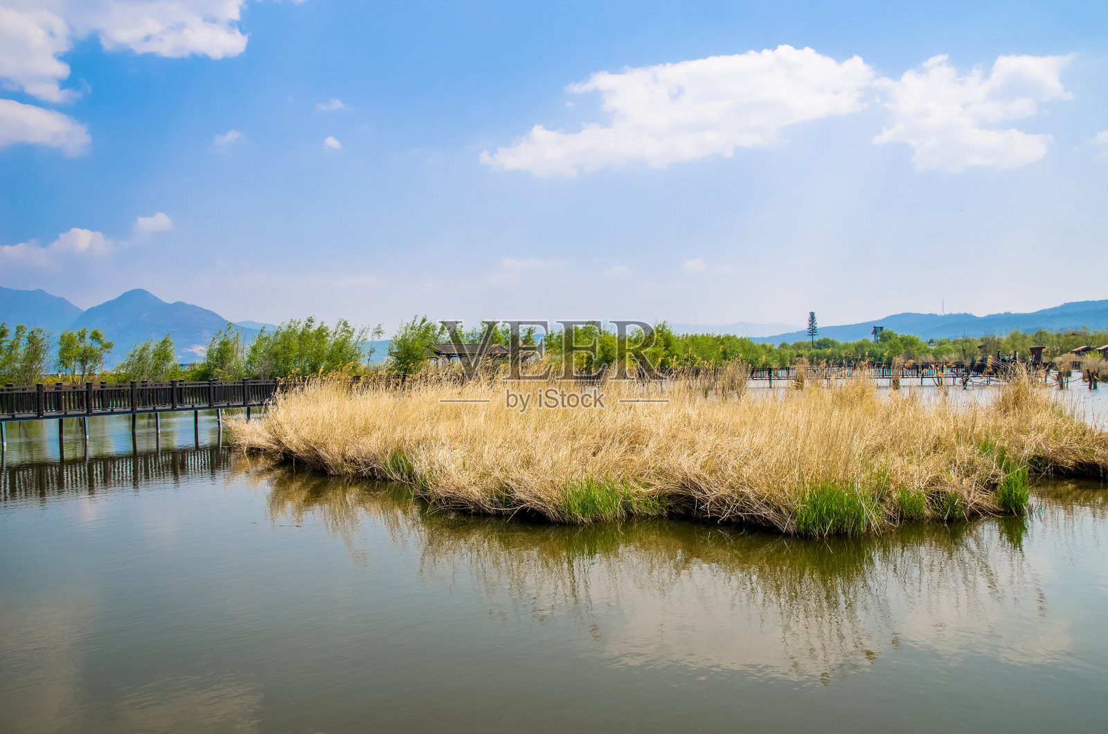 丽江拉什湖湿地是中国丽江市附近的国家级自然风景区。照片摄影图片