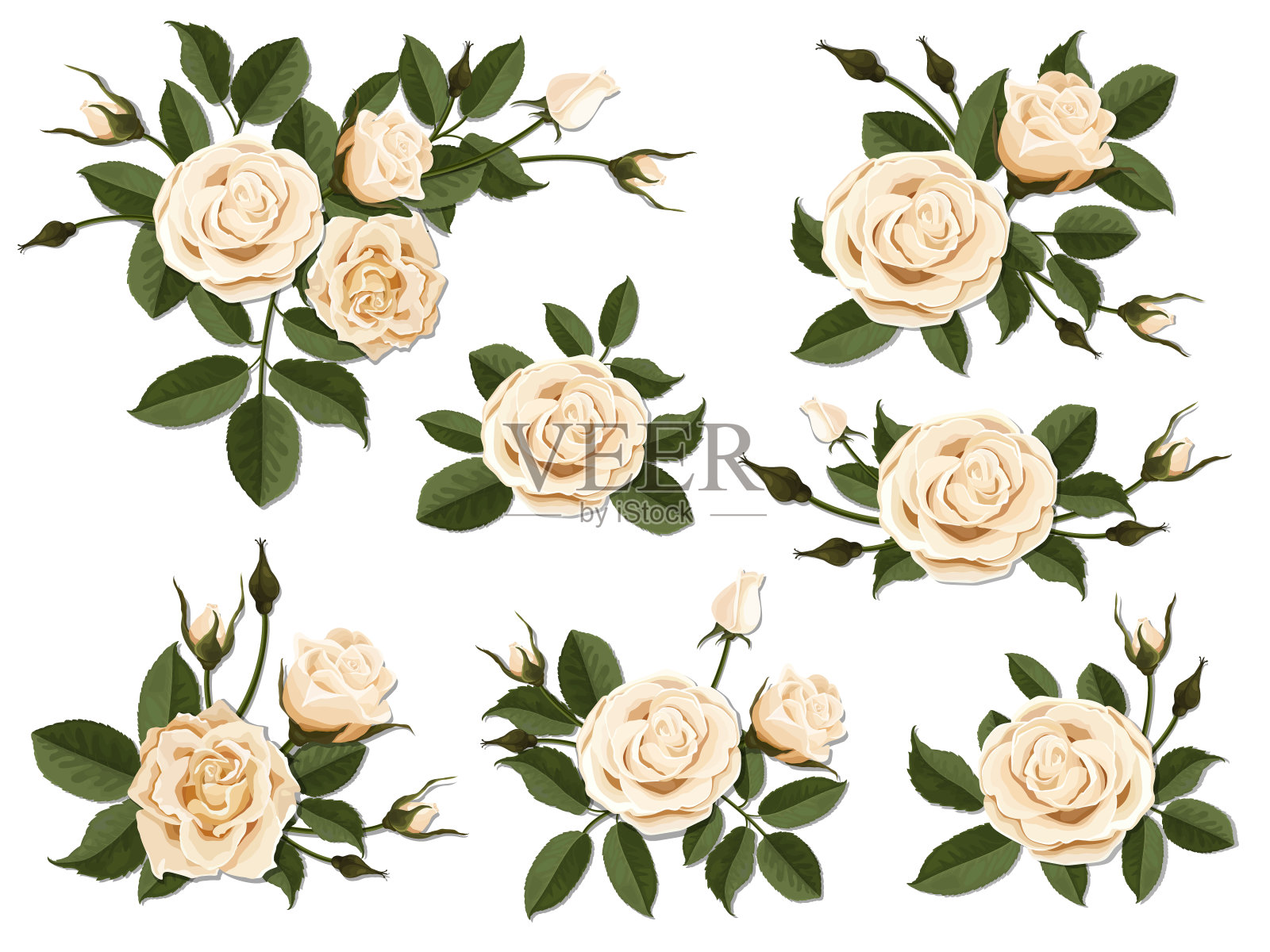 奶油色玫瑰胸花套装插画图片素材