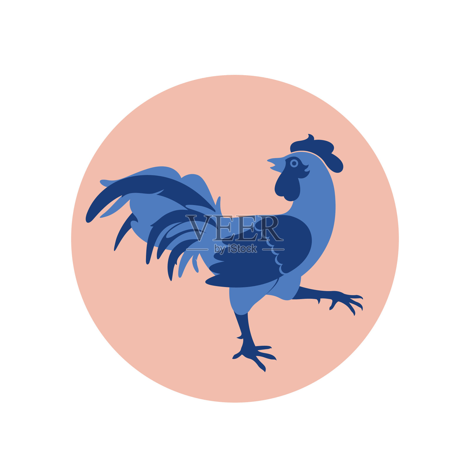 平型蓝公鸡插画图片素材