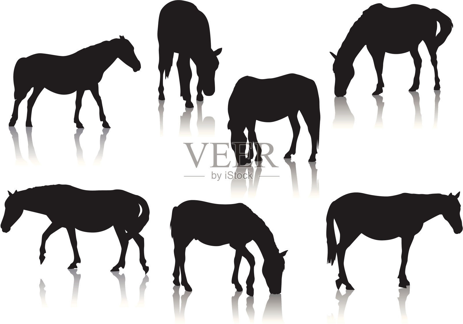 马和小马的剪影插画图片素材
