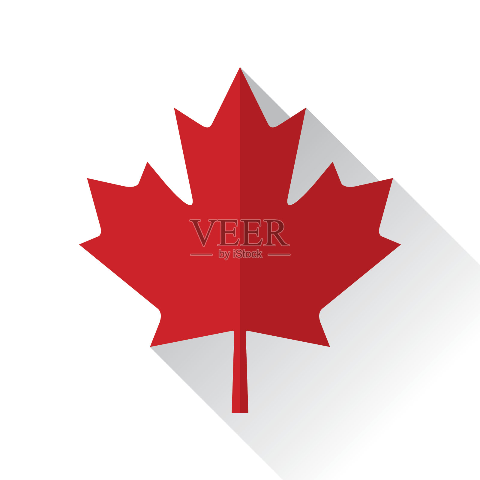 加拿大枫叶图标平坦插画图片素材