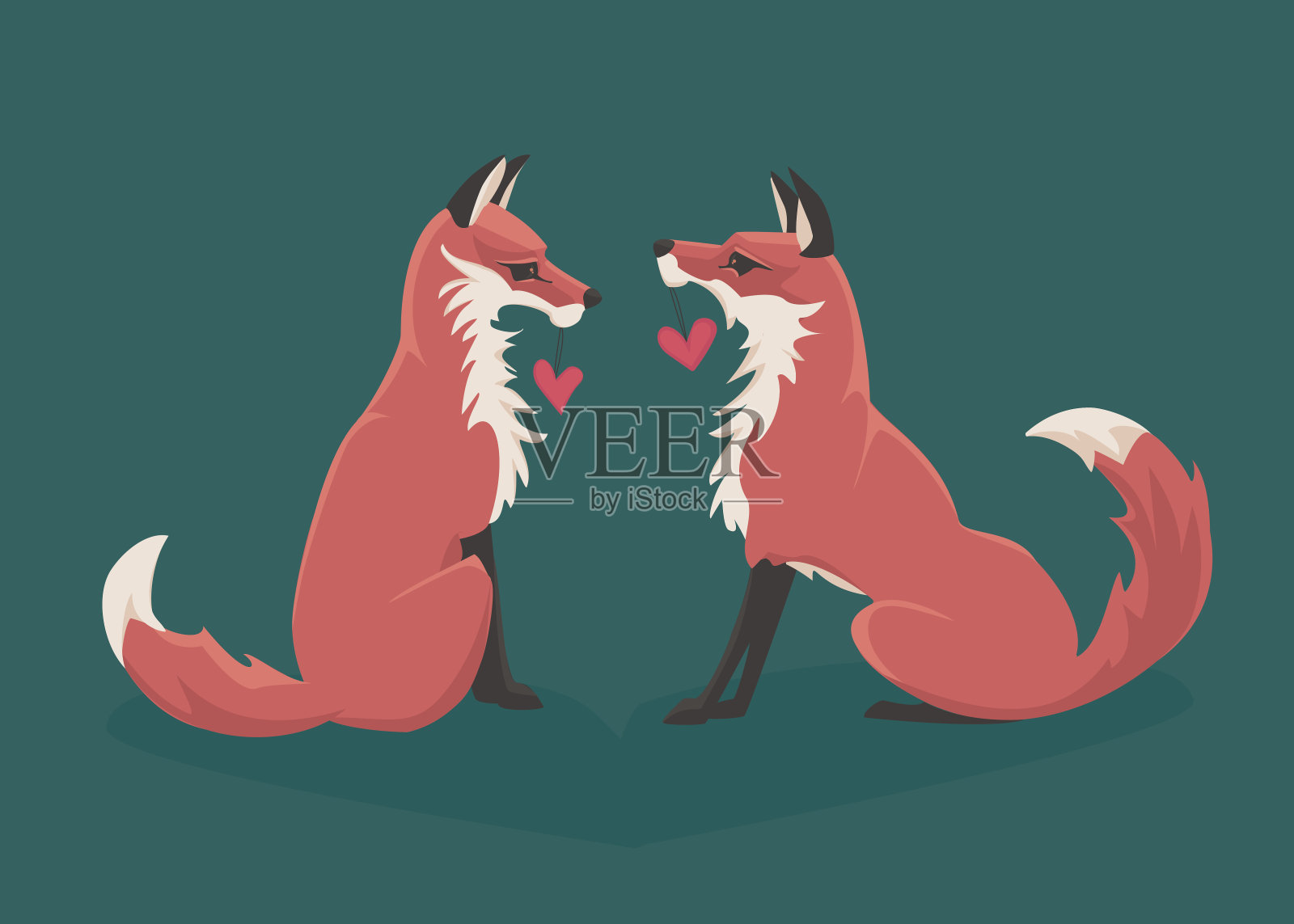两只红狐共享情人节。设计元素图片