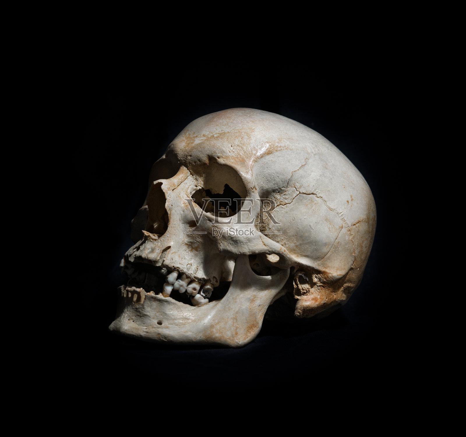 在黑色背景下完成《人类头骨》照片摄影图片