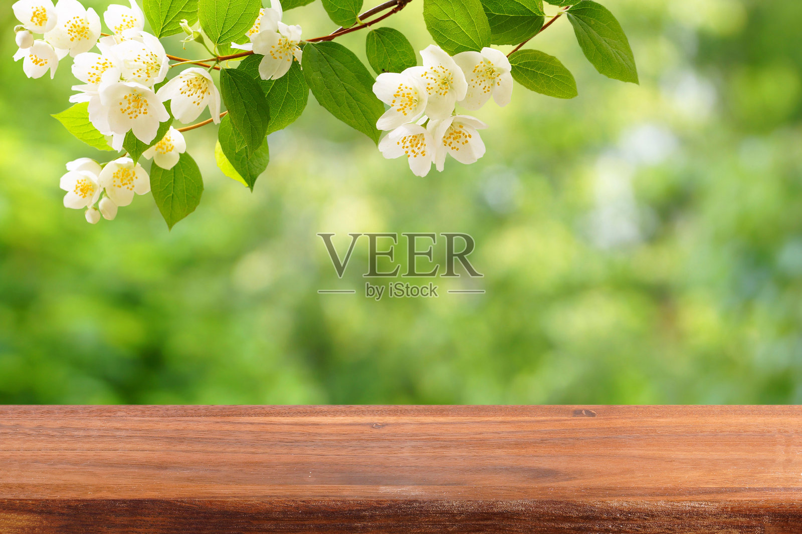 一张空木桌，上面放着一束盛开的茉莉花。照片摄影图片