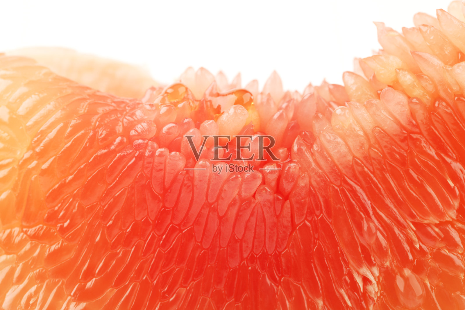 白色背景上的新鲜红葡萄柚照片摄影图片