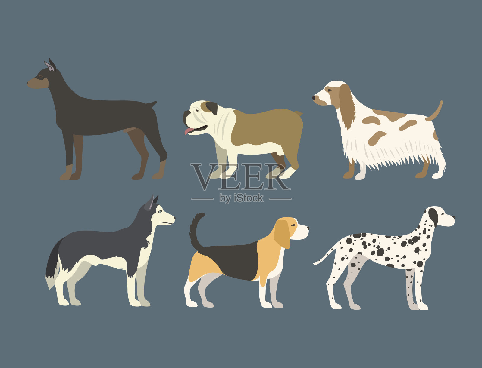 有趣的卡通狗人物面包在扁风格的小狗宠物动物狗矢量插图插画图片素材