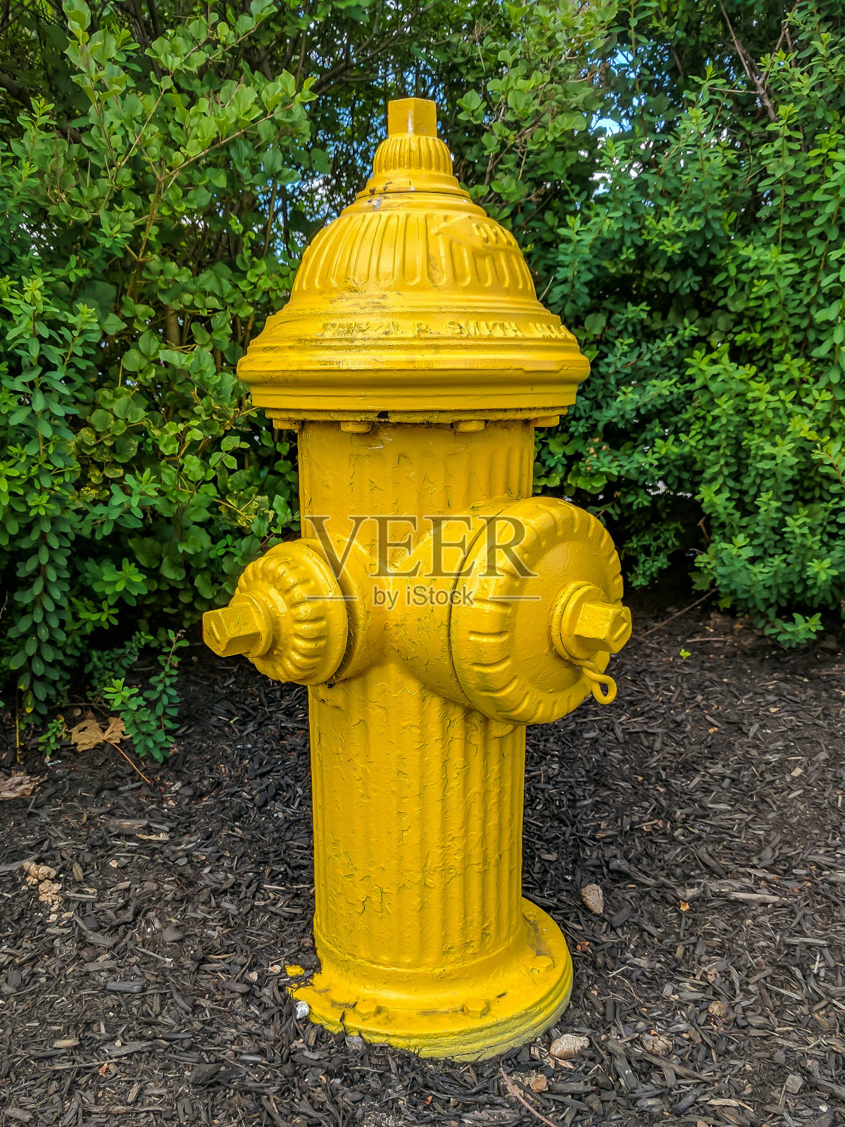 黄色消防栓照片摄影图片