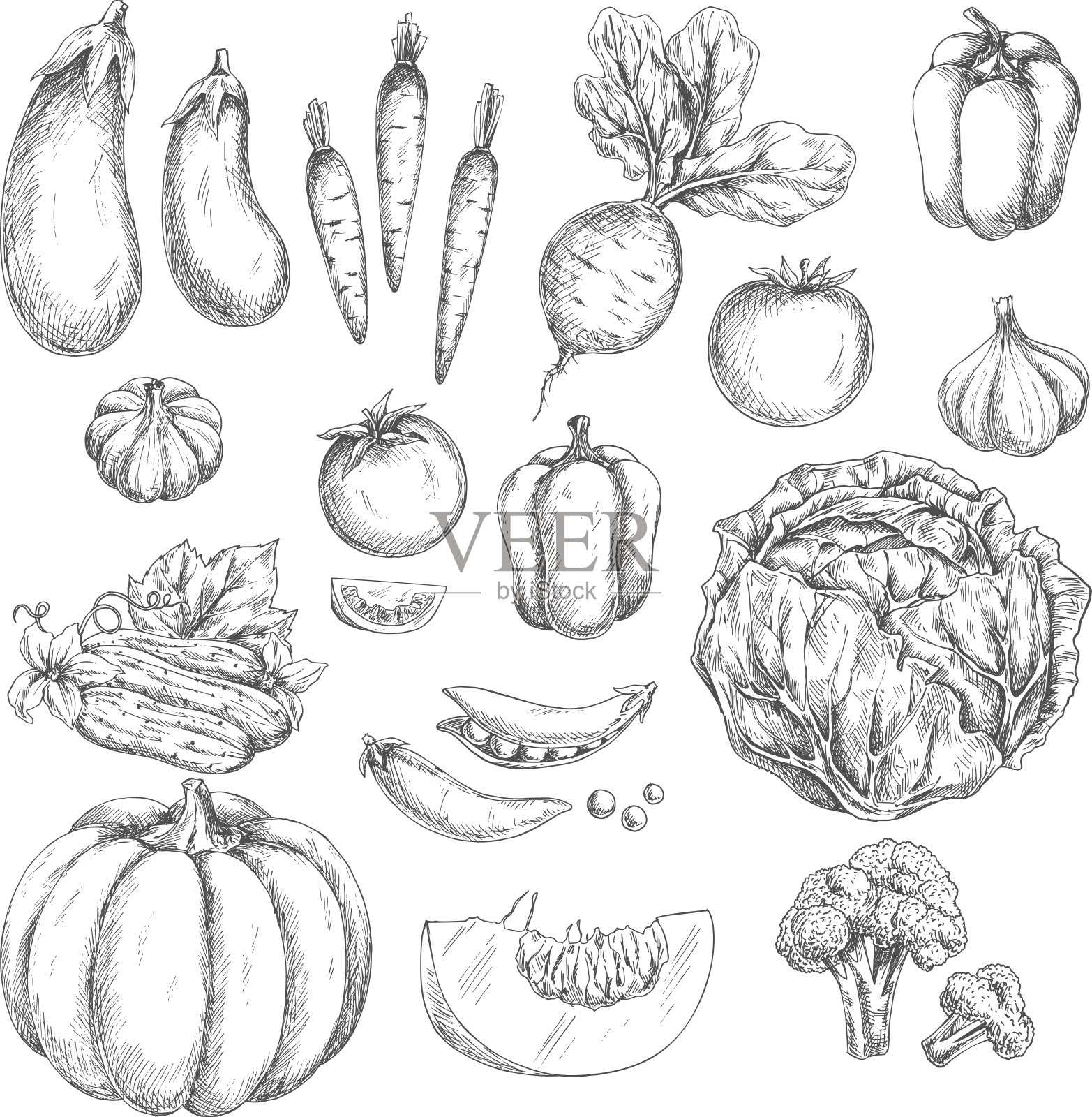 蔬菜草图矢量孤立图标插画图片素材