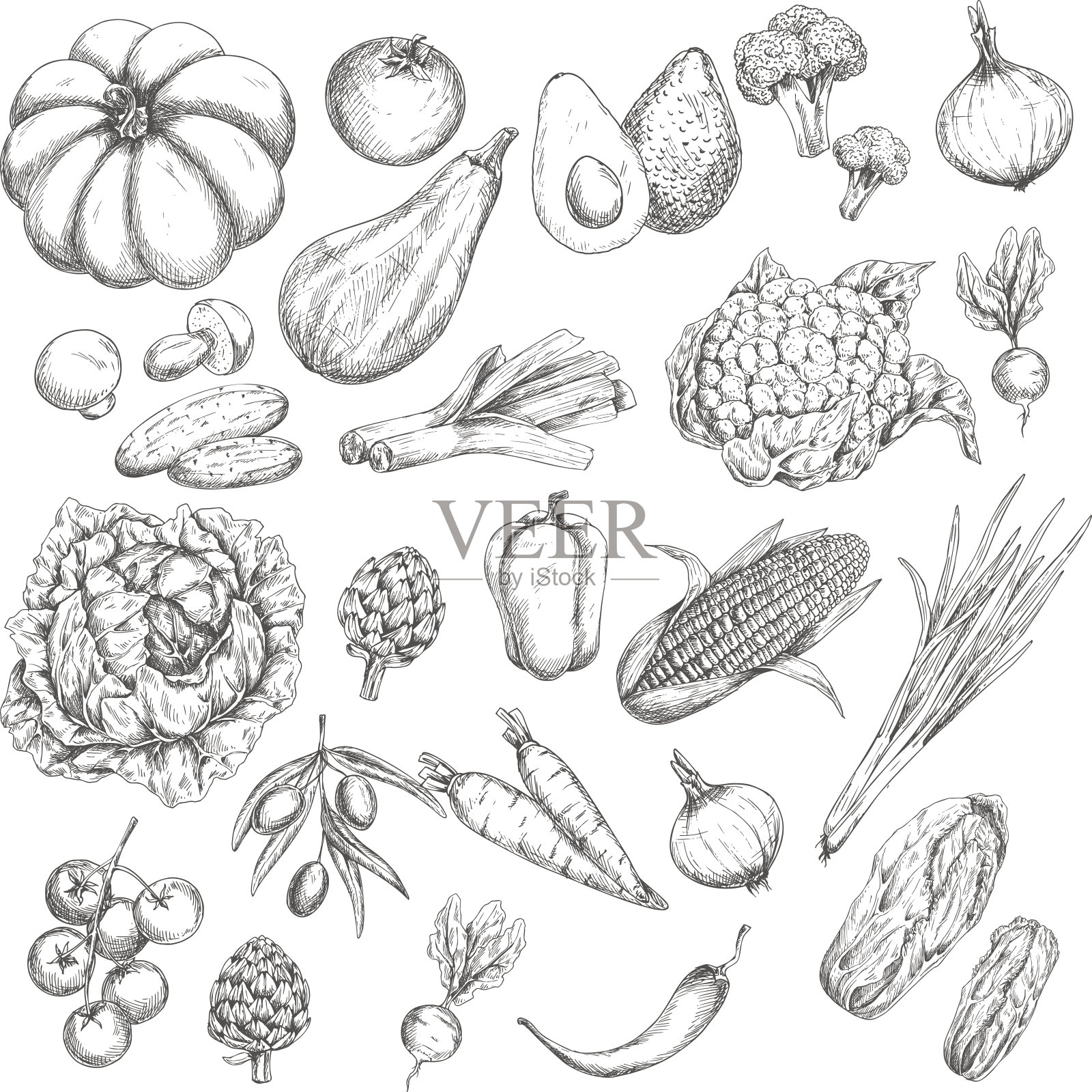 矢量草图孤立的蔬菜或蔬菜图标插画图片素材