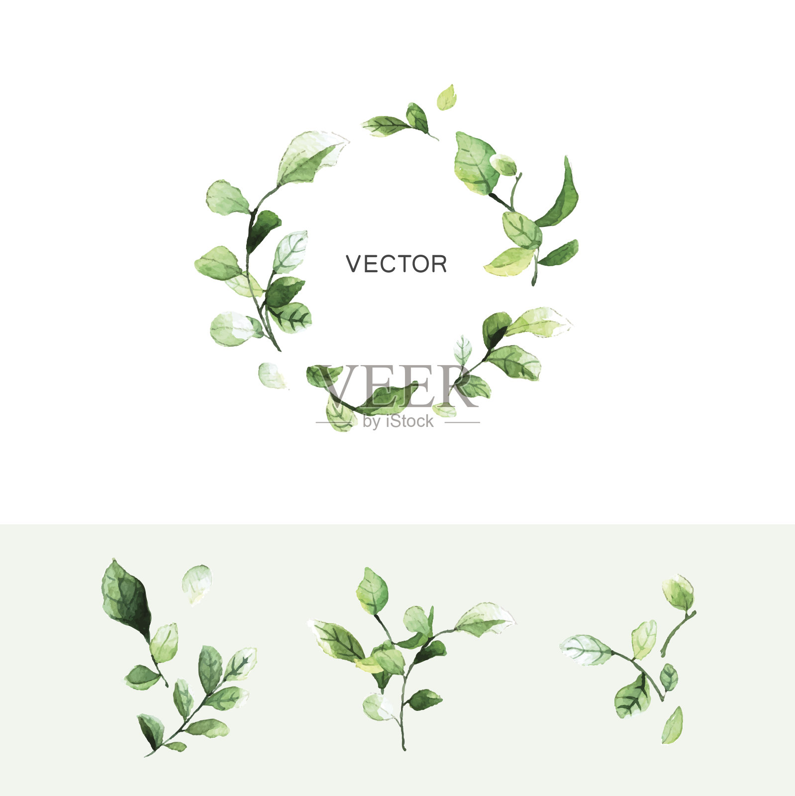 向量绿色的叶子花环与地方的文本和设置的分支与树叶在水彩风格。插画图片素材