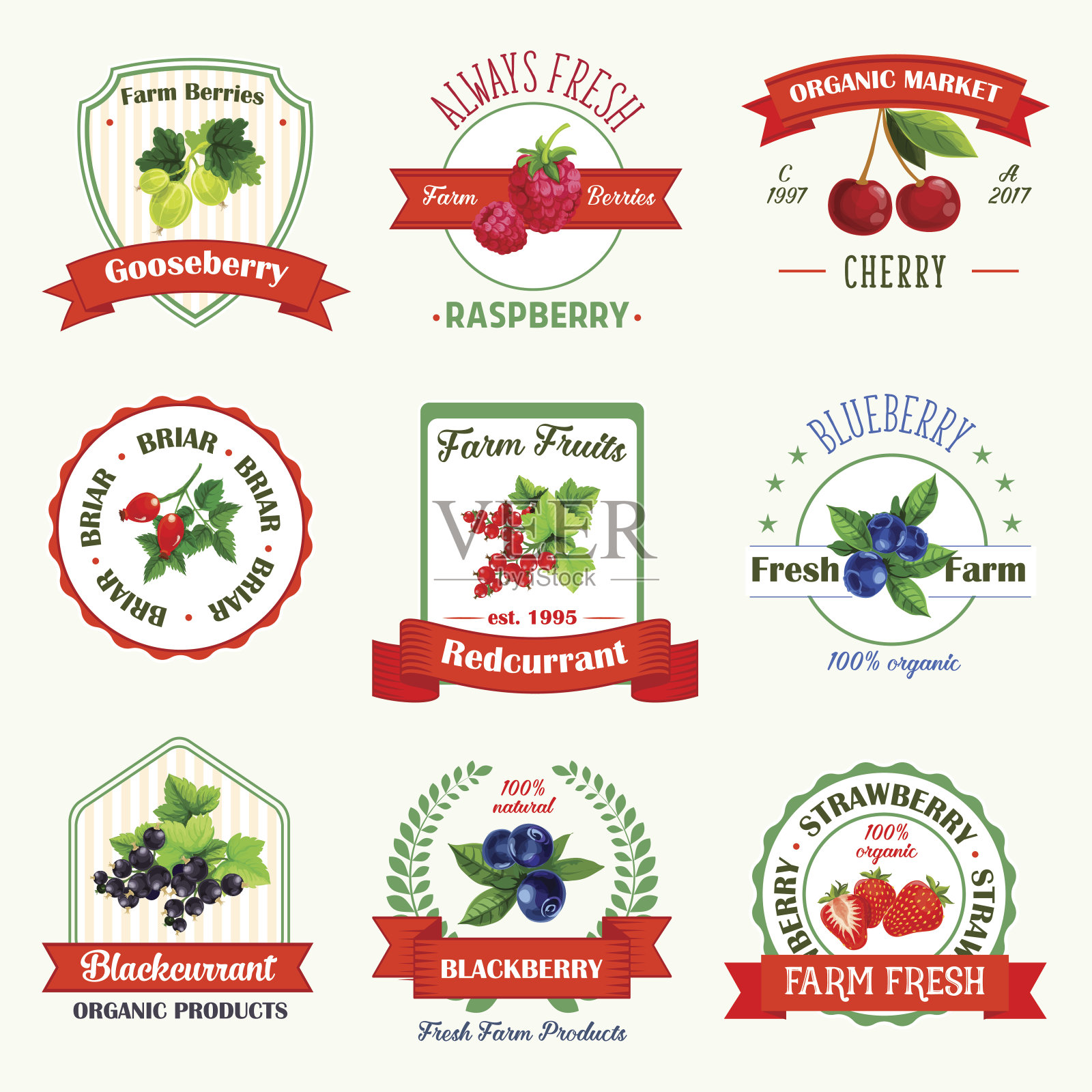 浆果矢量图标浆果产品标签插画图片素材