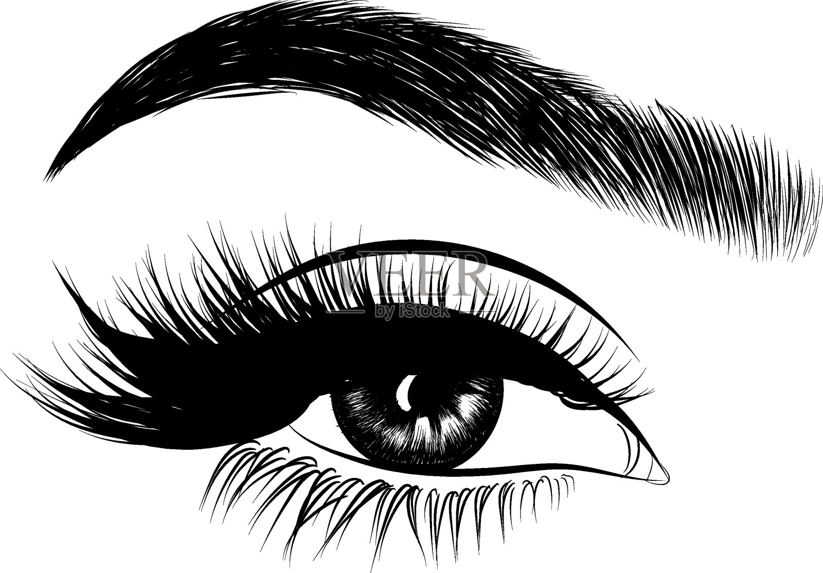 女人的眼睛和完美的眉毛化妆插画图片素材
