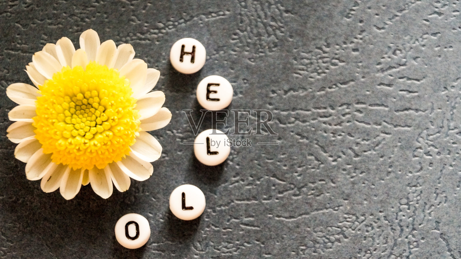 “你好”这个词是用圆块儿和甘菊拼出来的。照片摄影图片