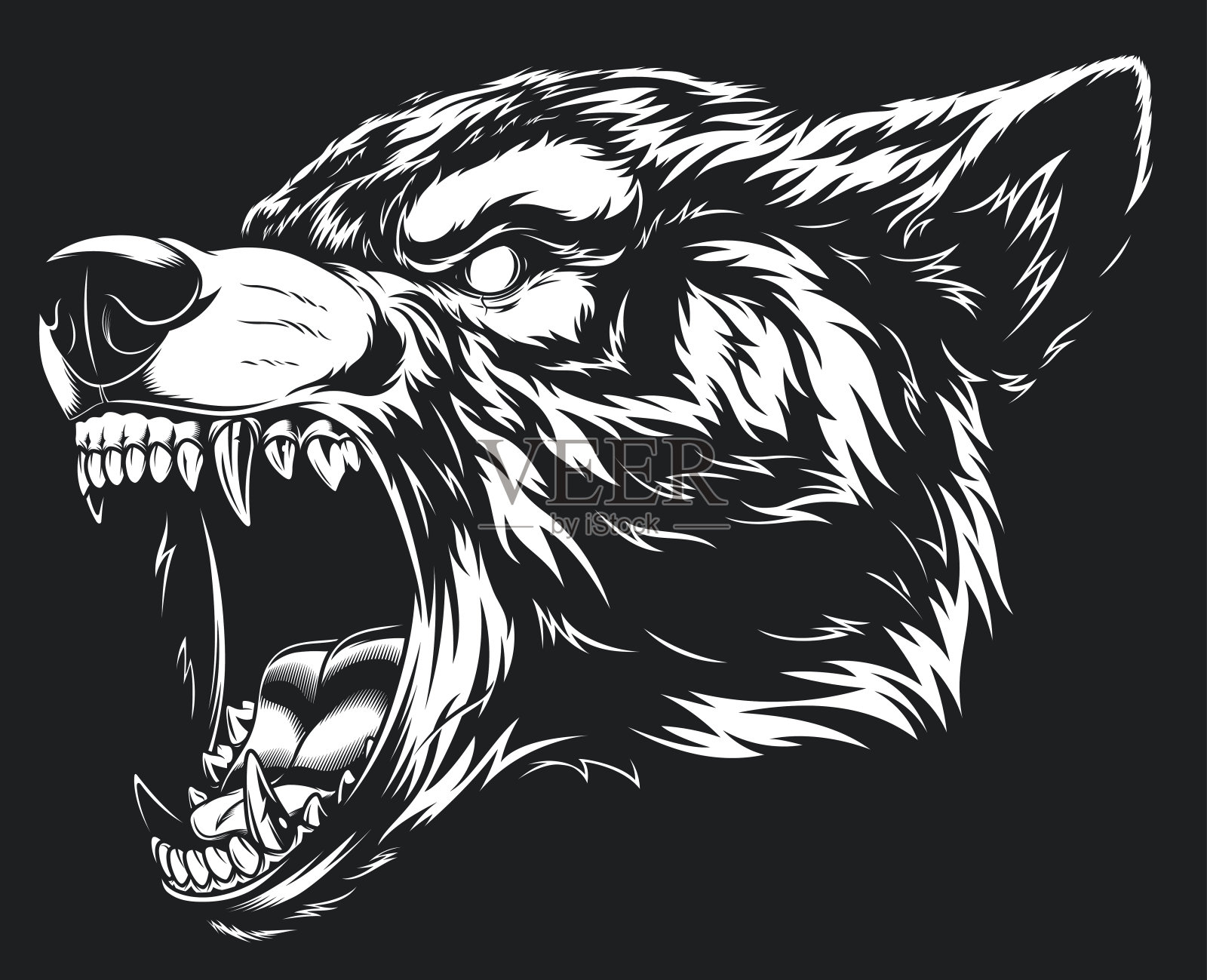 凶猛的狼的头插画图片素材