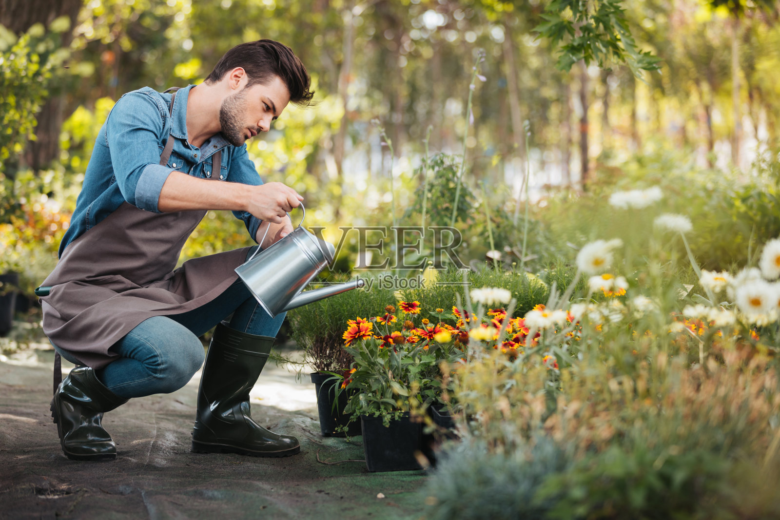 侧面的年轻园丁在围裙和橡胶靴子与浇水罐在花园里浇水植物照片摄影图片