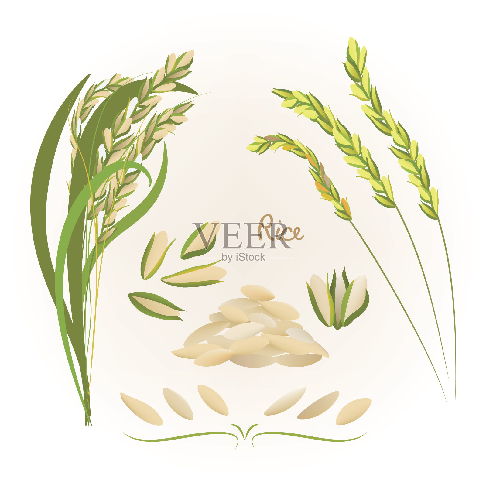 水稻组设计元素图片