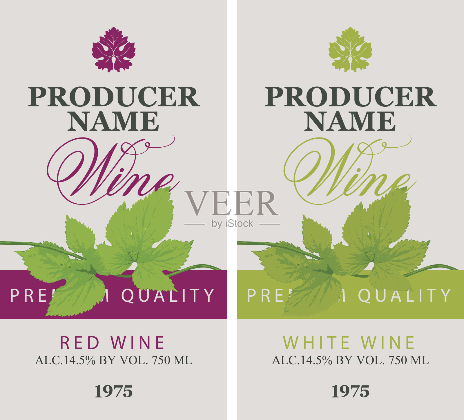 红葡萄酒和白葡萄酒的绿色葡萄藤标签插画图片素材