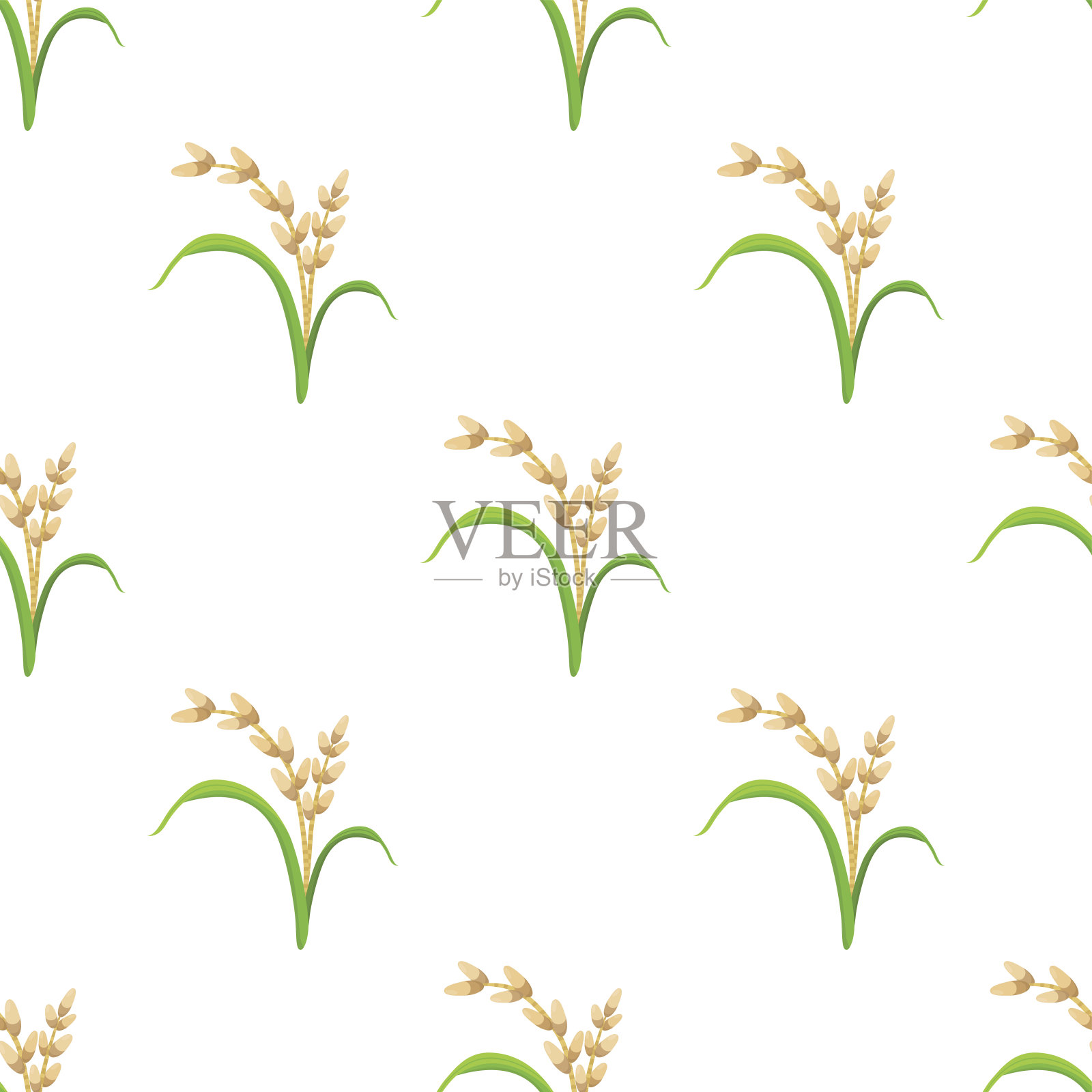 水稻种植，素食无缝模式。矢量图插画图片素材