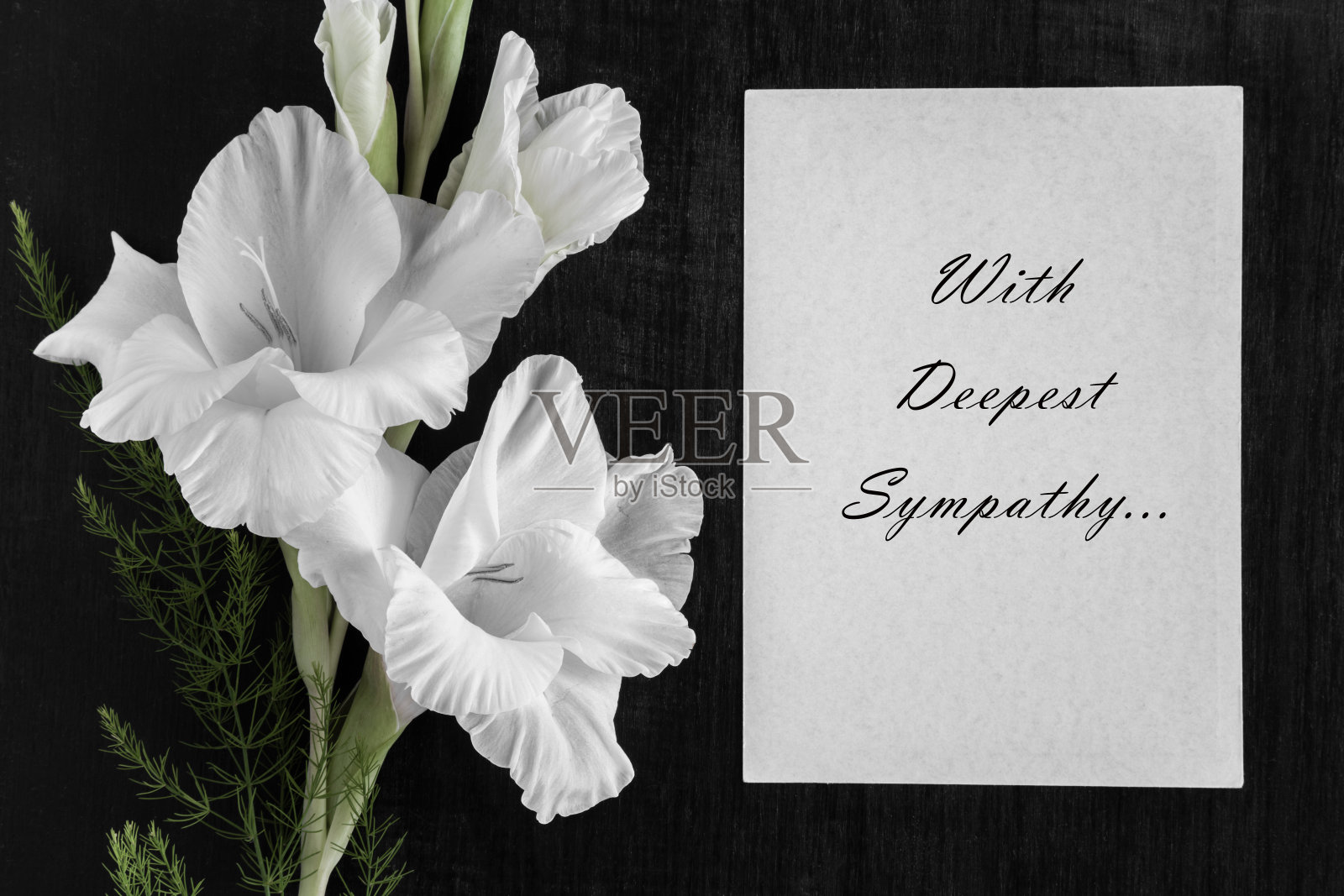 白色空白吊唁卡与文字和白色剑兰花在黑暗的背景。照片摄影图片
