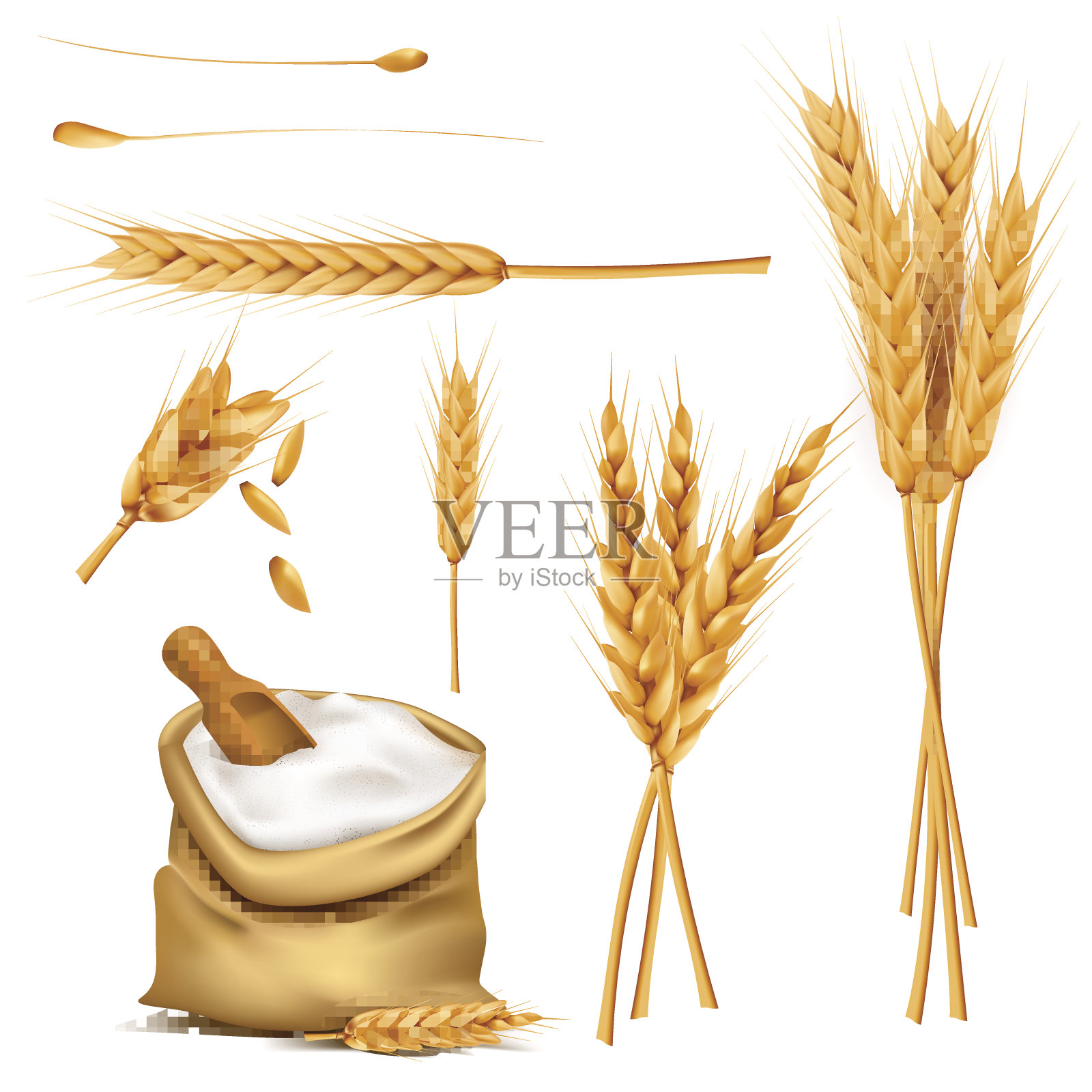 小麦穗，谷物和面粉袋向量集插画图片素材