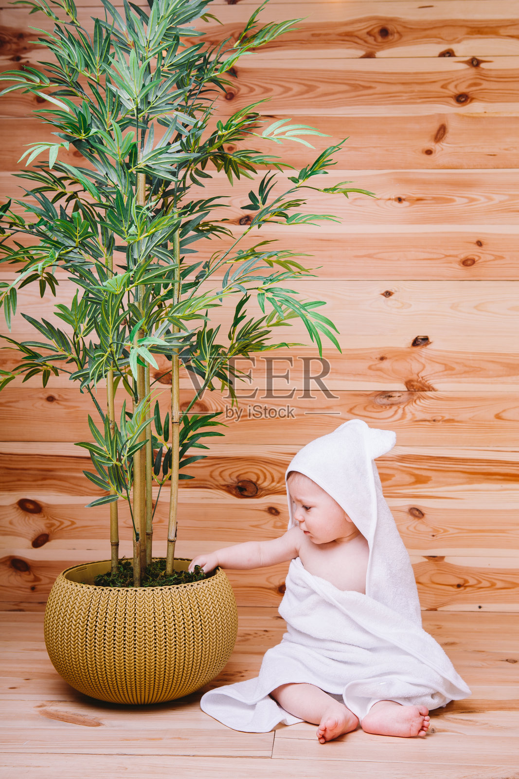 婴儿裹在白色的毛巾里，坐在木背景附近的一棵竹子花盆里照片摄影图片