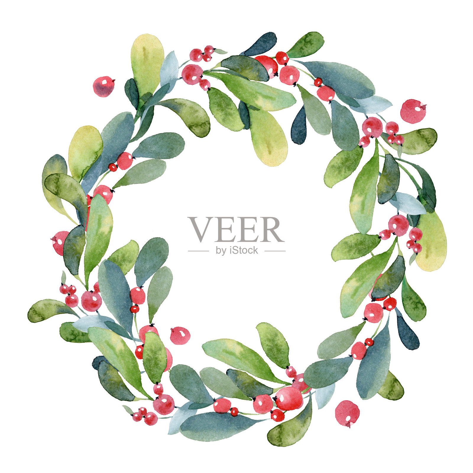 水彩插图。绿色的黄杨树枝，树叶和红色的浆果组成的圣诞花环插画图片素材