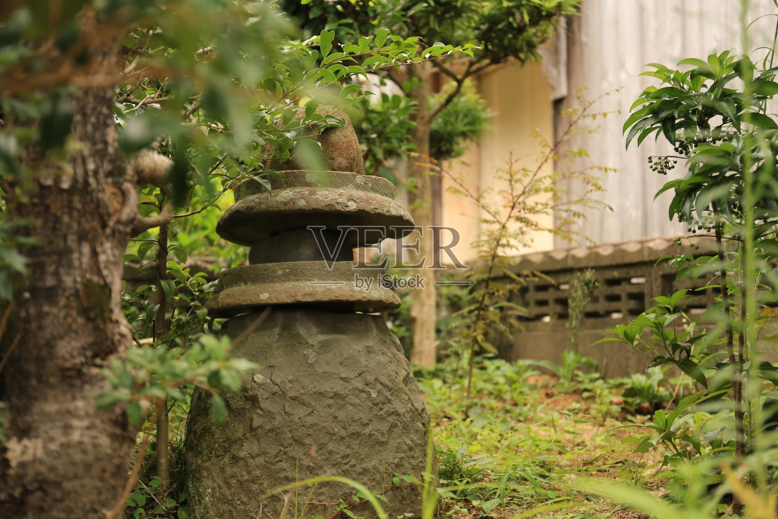 日本传统园林照片摄影图片