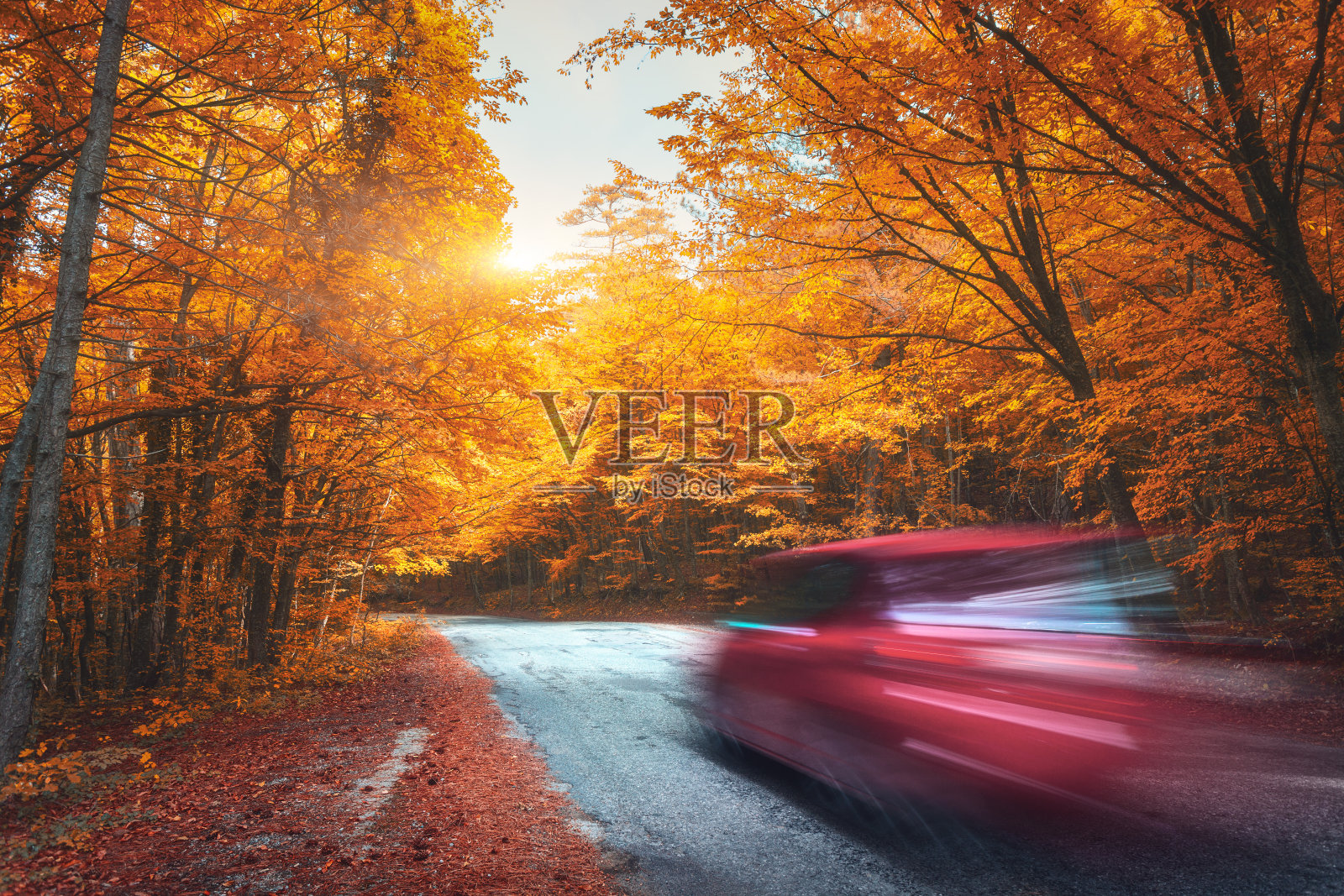 夕阳西下的秋日森林里，一辆模糊的汽车行驶在山路上。车在晚上行驶。美丽的风景有柏油路，红色的汽车，五颜六色的橙色森林和黄色的阳光。旅游的背景照片摄影图片
