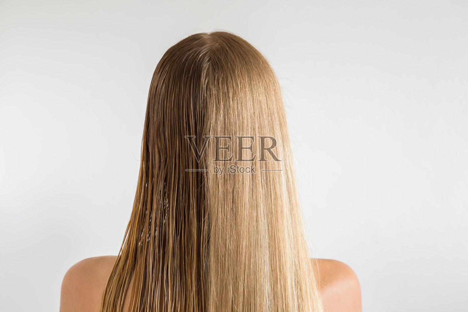 在灰色背景上使用吹风机之前和之后，湿和干女人的金发。关心健康清洁的头发。美容院的概念。照片摄影图片