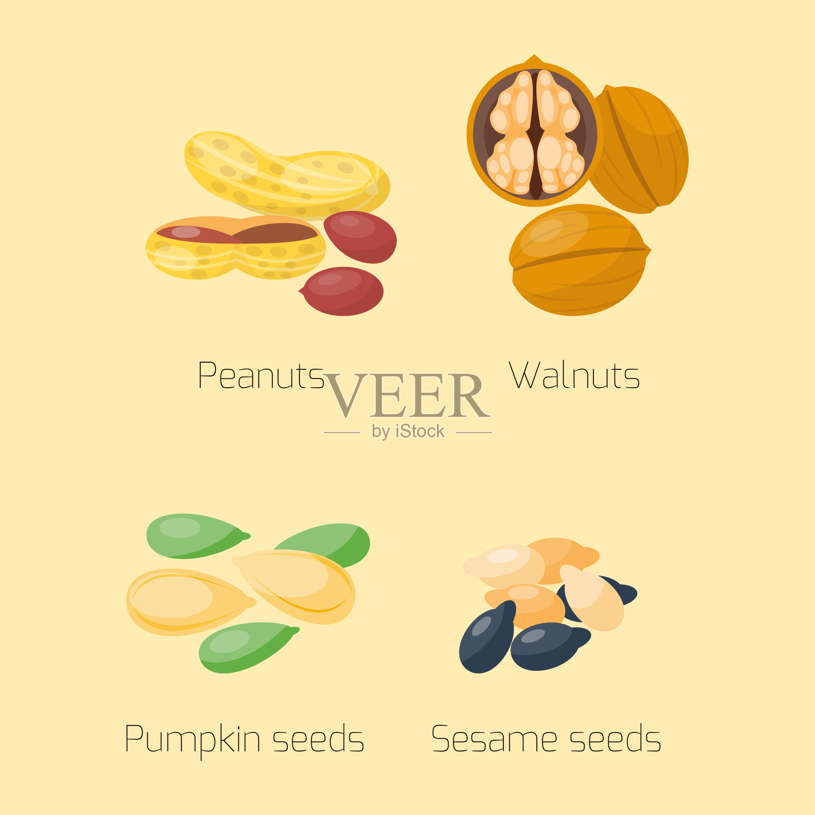 成堆的不同坚果开心果，榛子，杏仁，花生，核桃，栗子，美味的种子矢量插图插画图片素材