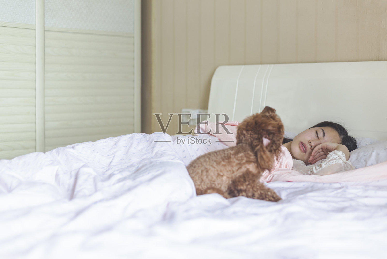 一个女人睡觉时，一只狗趴在床上休息照片摄影图片