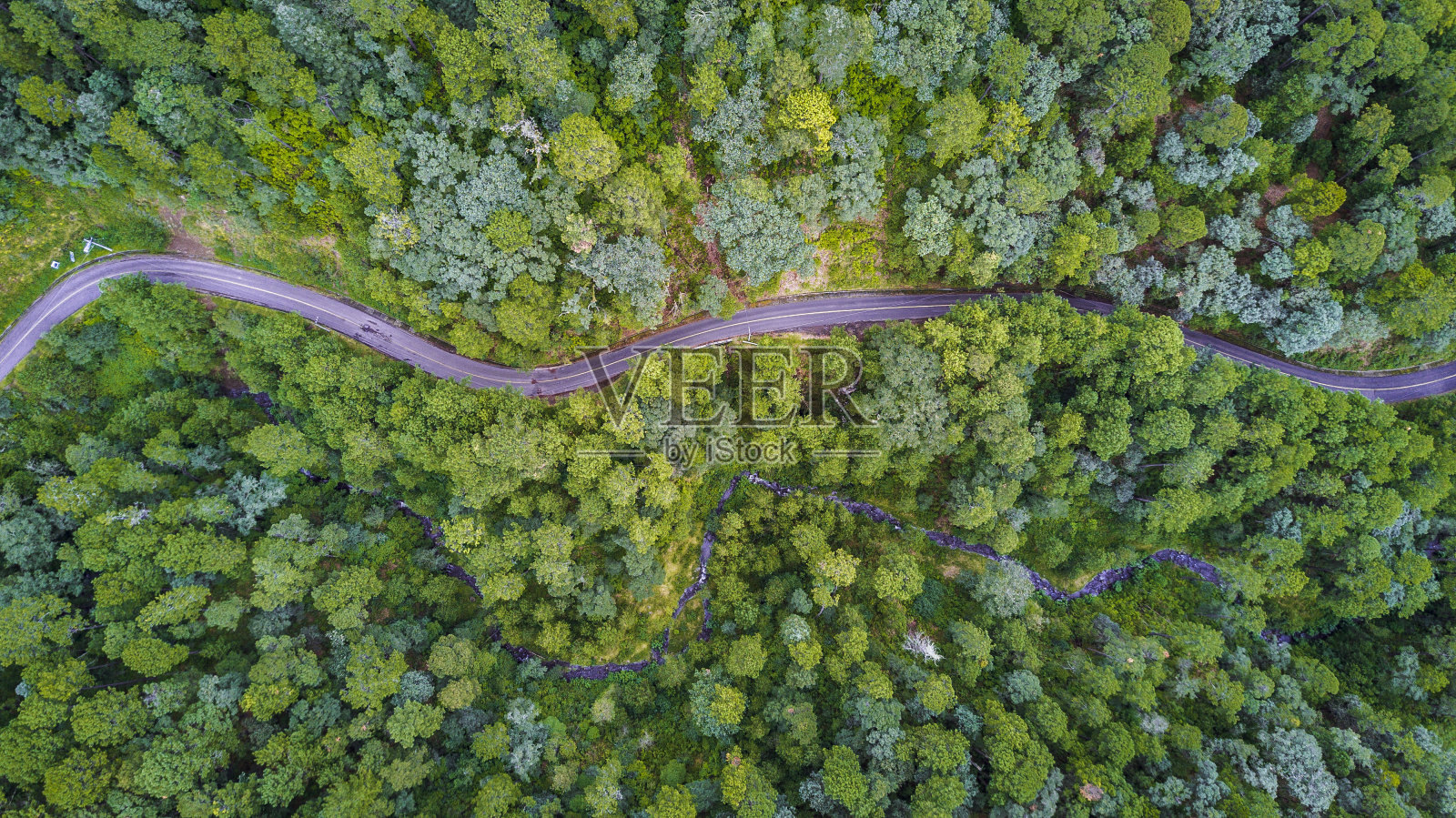 空中的森林与道路照片摄影图片