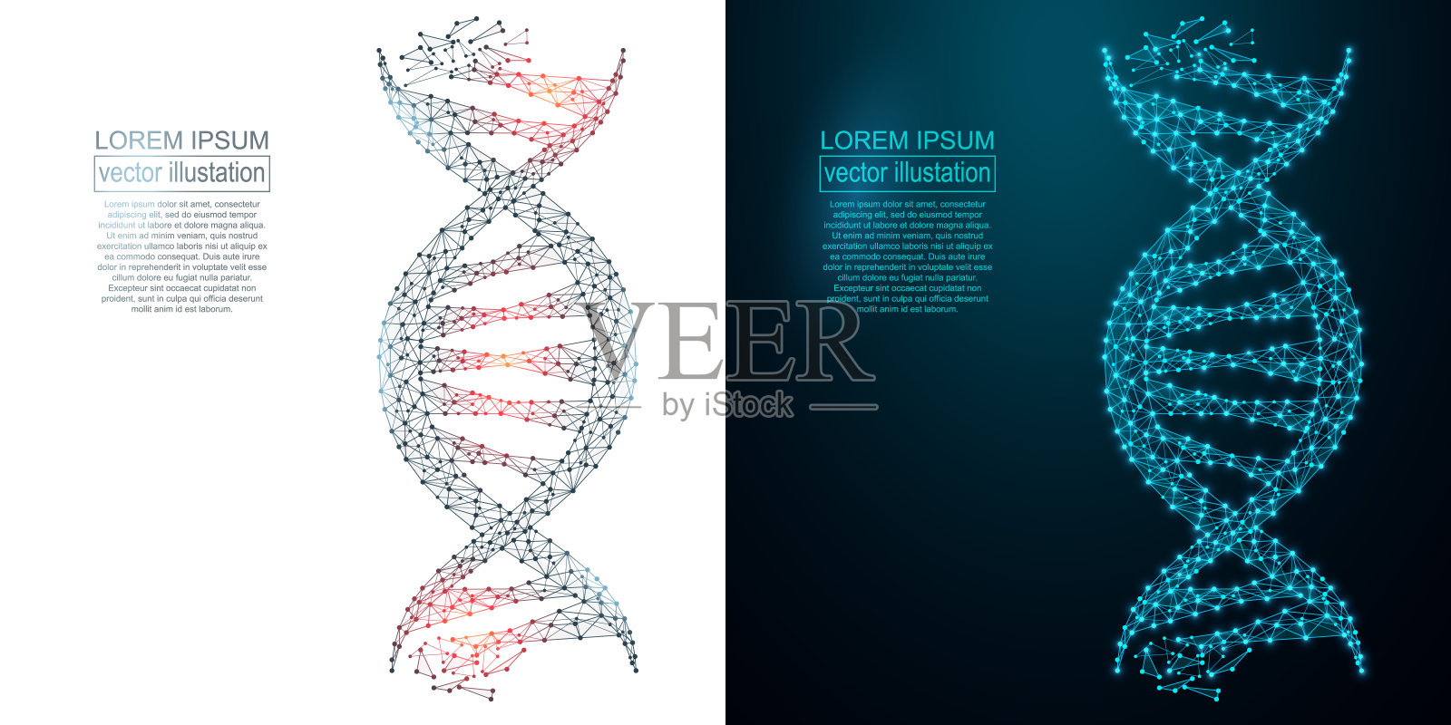 多边形DNA抽象图像。低聚线框插画图片素材
