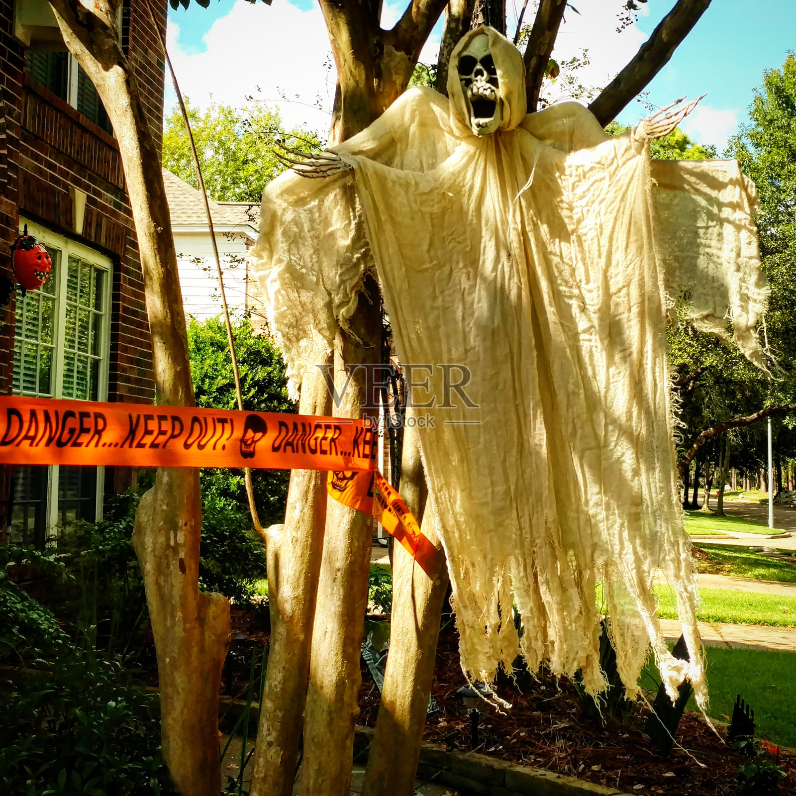 骷髅鬼在麻破布挂在树上的万圣节照片摄影图片