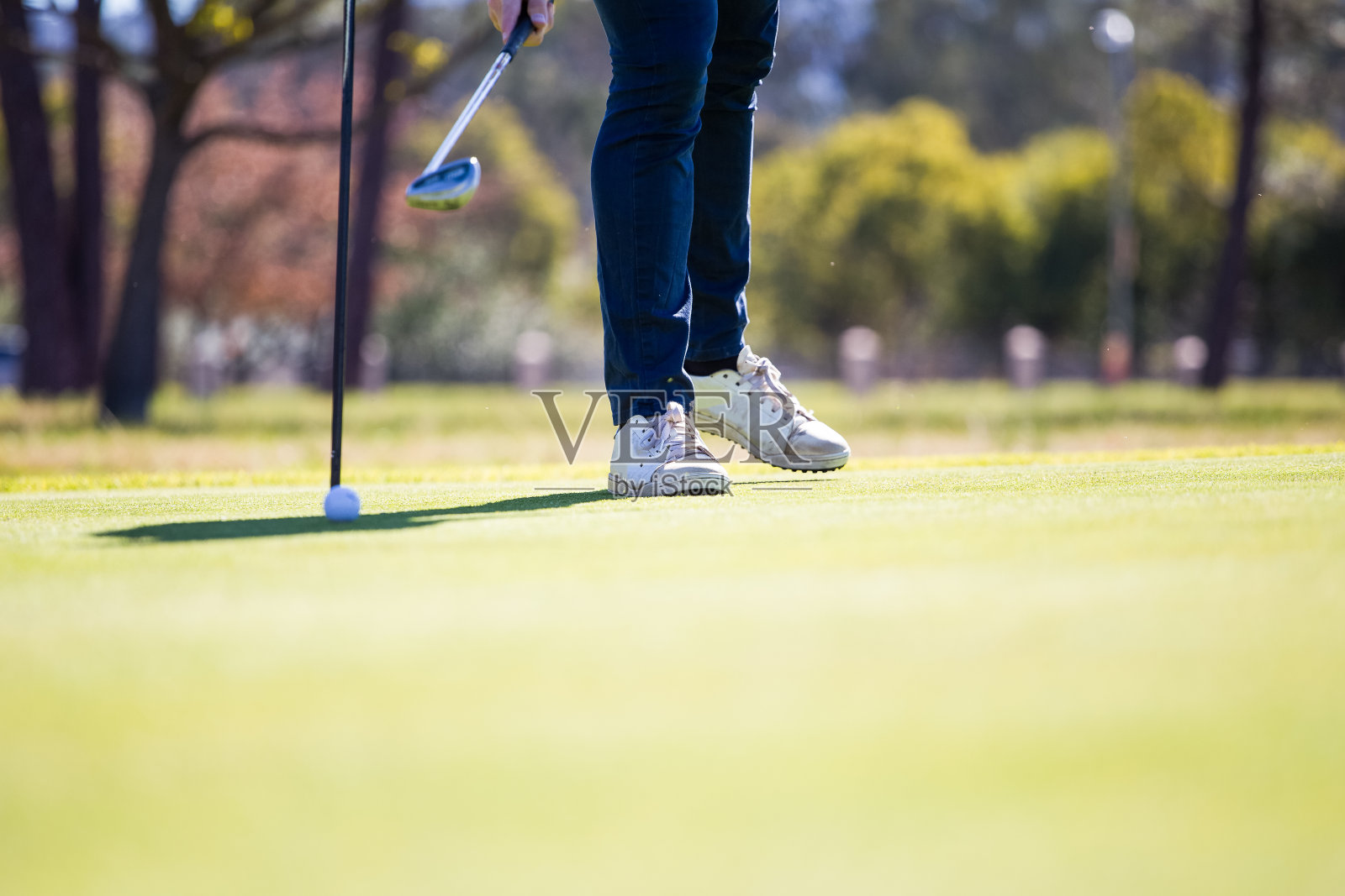 高尔夫球手将高尔夫球打入果岭洞中的高尔夫球照片摄影图片