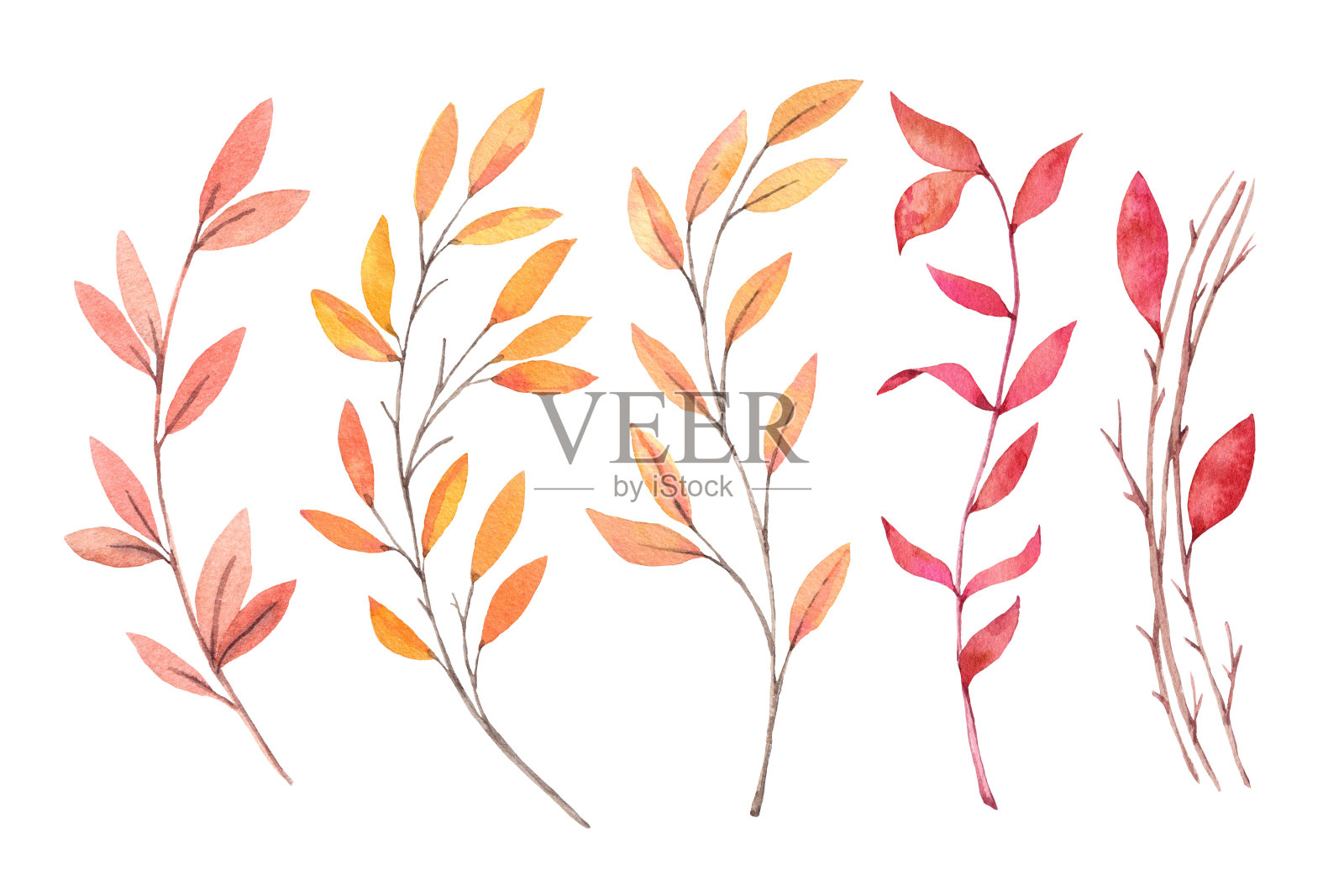 手绘水彩插图。秋天植物剪纸艺术。一套秋叶，草本和树枝。花的设计元素。完美的邀请，贺卡，博客，海报，印刷品插画图片素材
