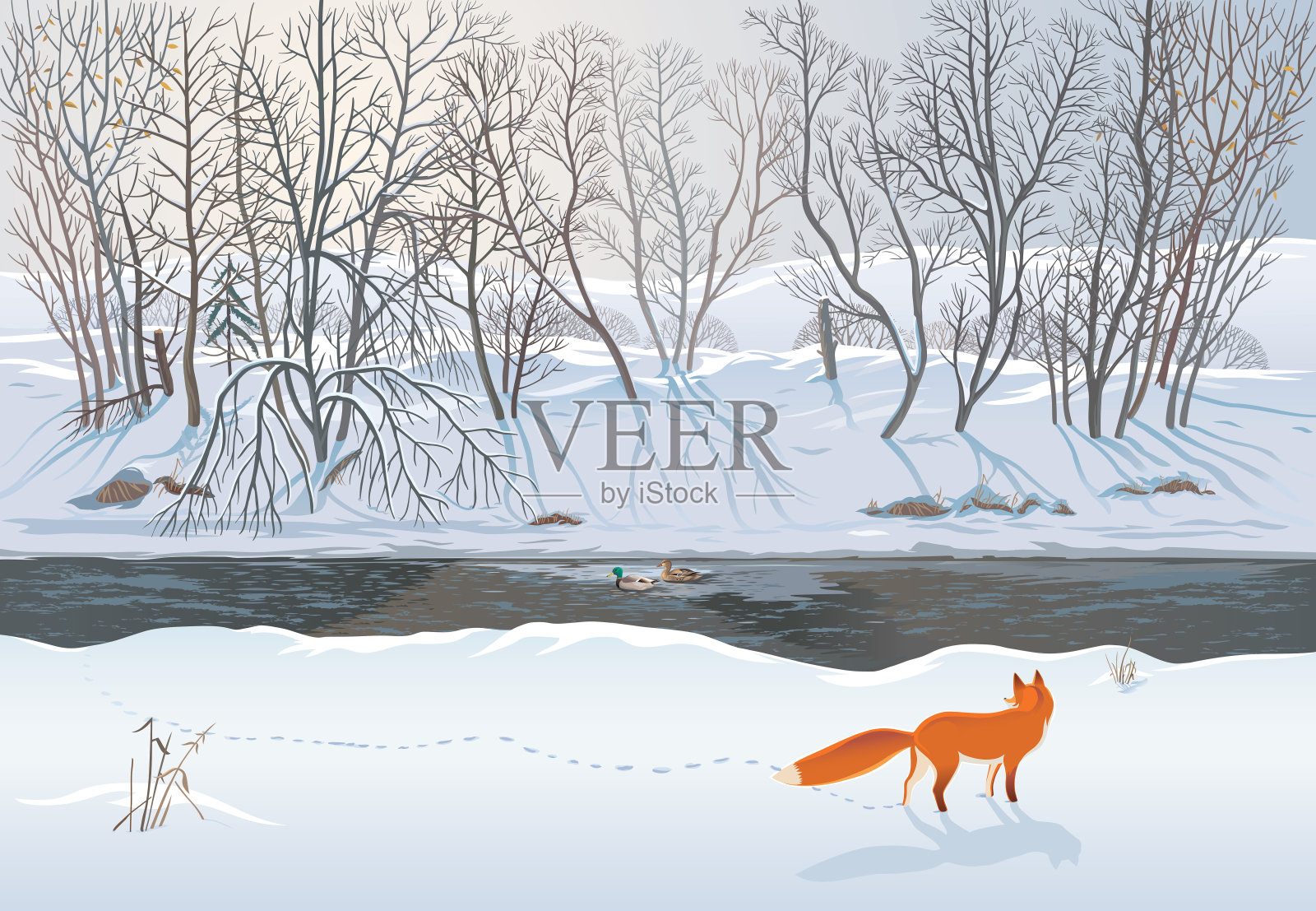 狐狸和两只鸭子插画图片素材