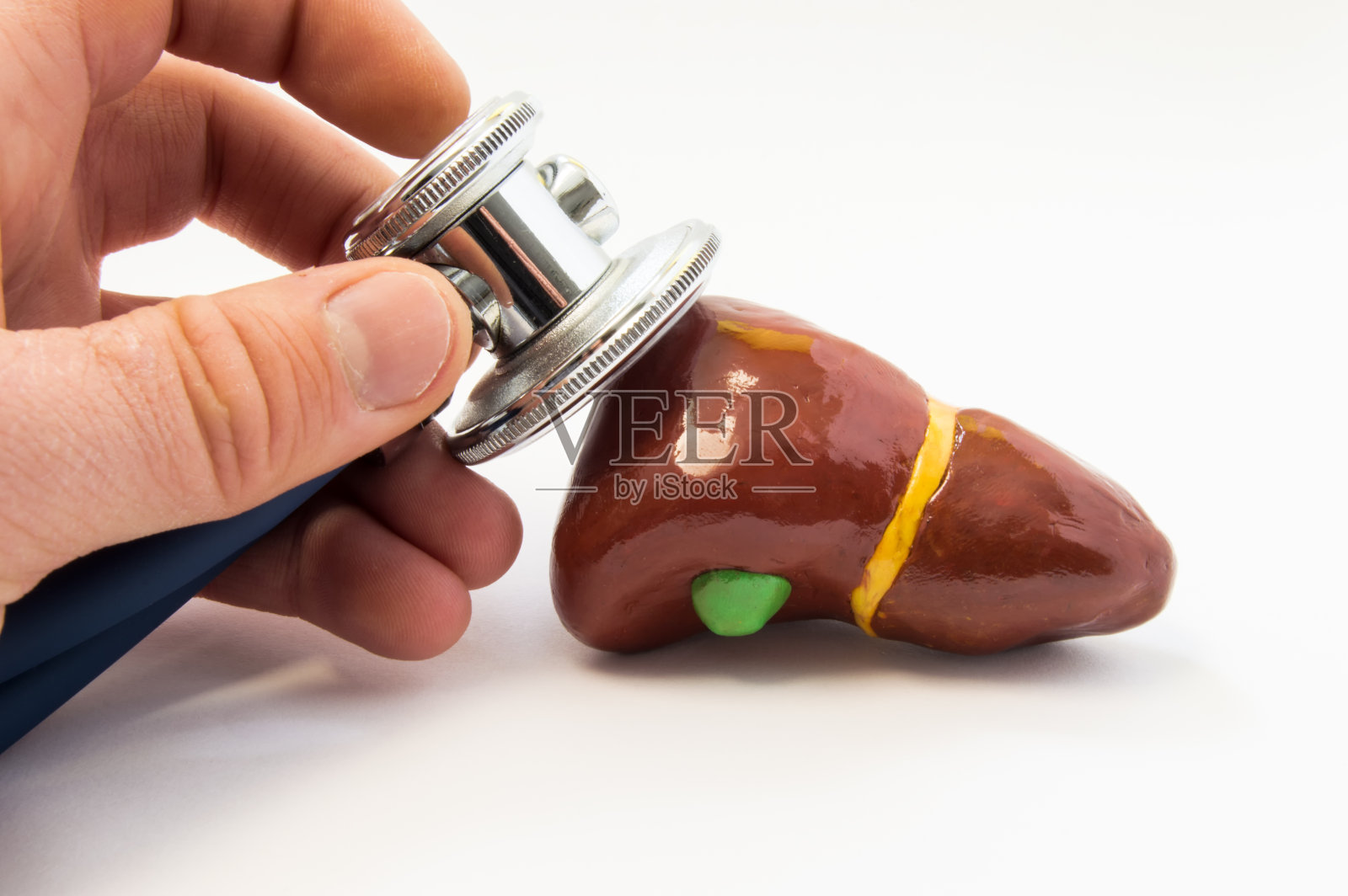 检查肝脏。医生手持听诊器，对人的肝脏形状进行近距离检查。用于诊断或治疗各种肝、胆系统疾病的概念照片照片摄影图片