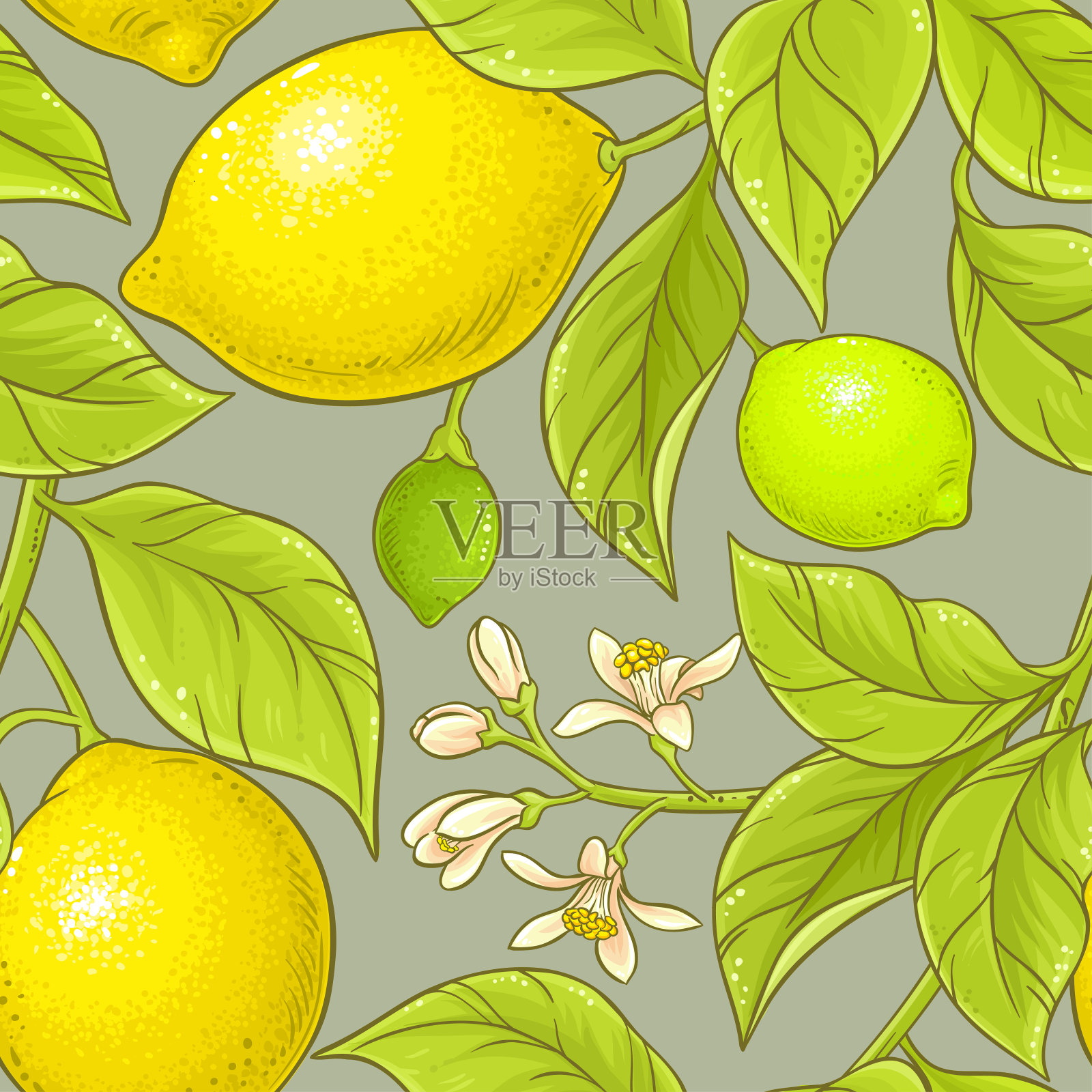 柠檬矢量模式插画图片素材