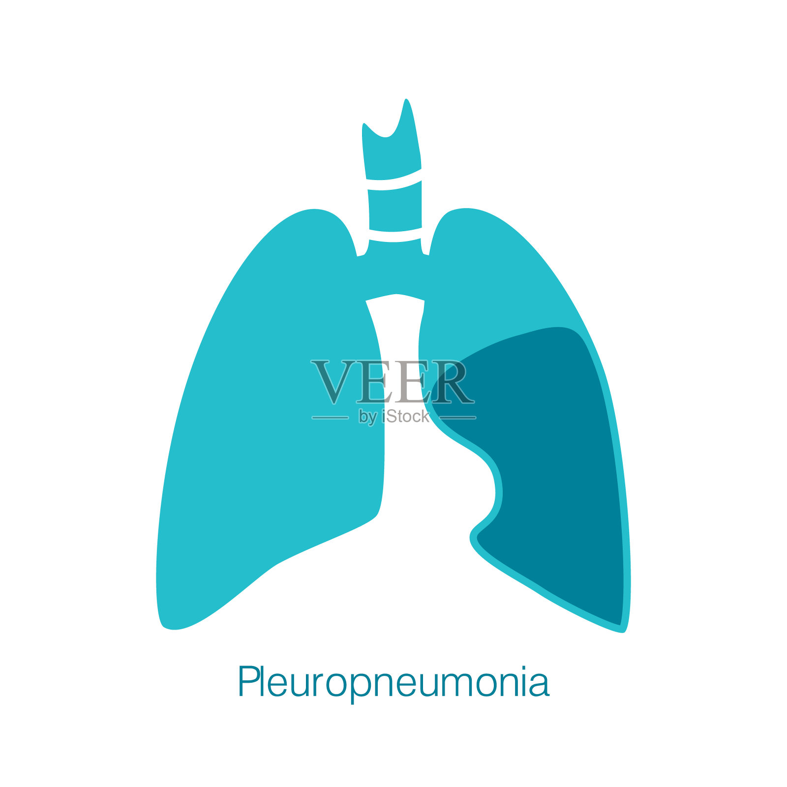 载体剪影人体器官-肺与气管的医学插图。插画图片素材
