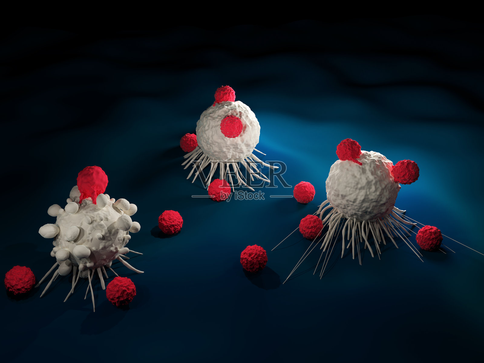 T细胞攻击癌细胞照片摄影图片