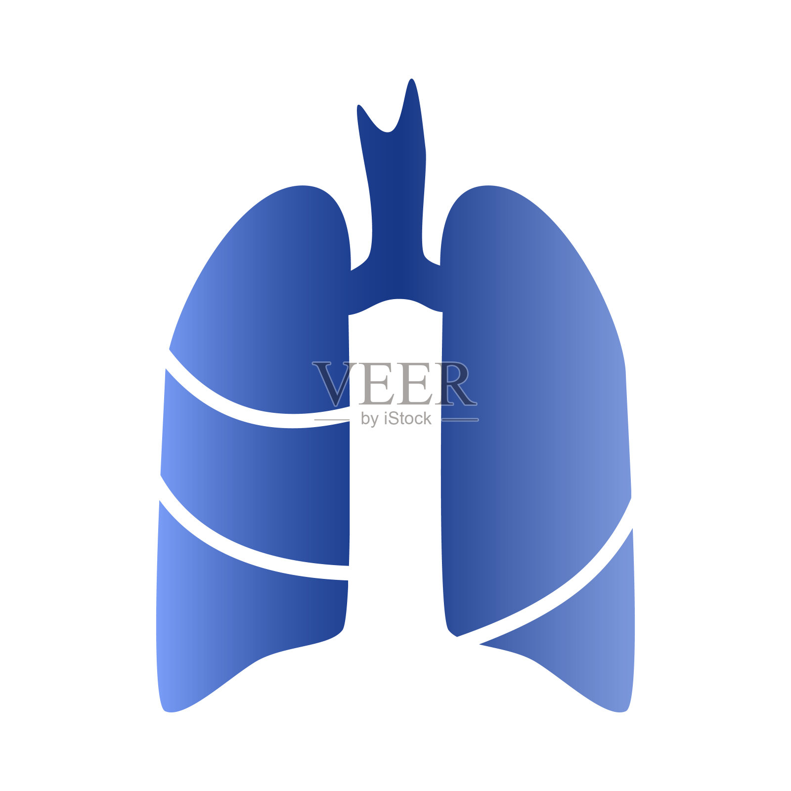 载体剪影人体器官-肺与气管的医学插图。诊所、医院的符号模板。象征哮喘、肺结核、肺炎。呼吸系统保健。插画图片素材