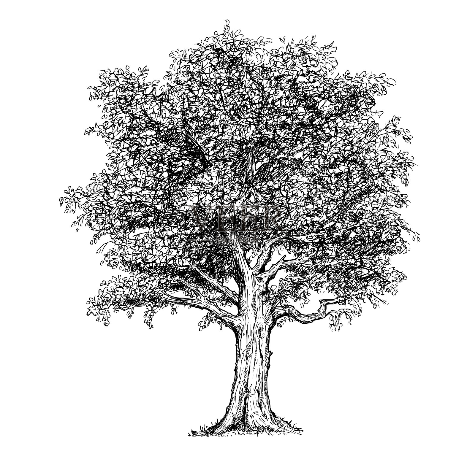 矢量手绘绘制树设计元素图片