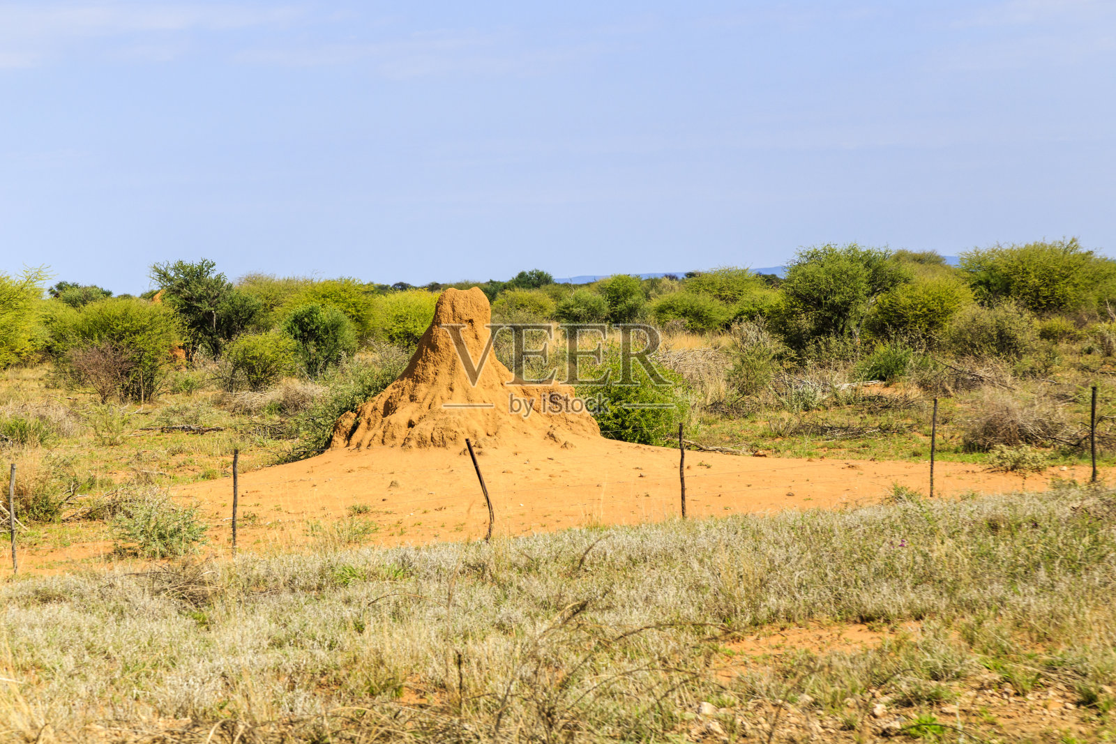 纳米比亚的白蚁丘照片摄影图片