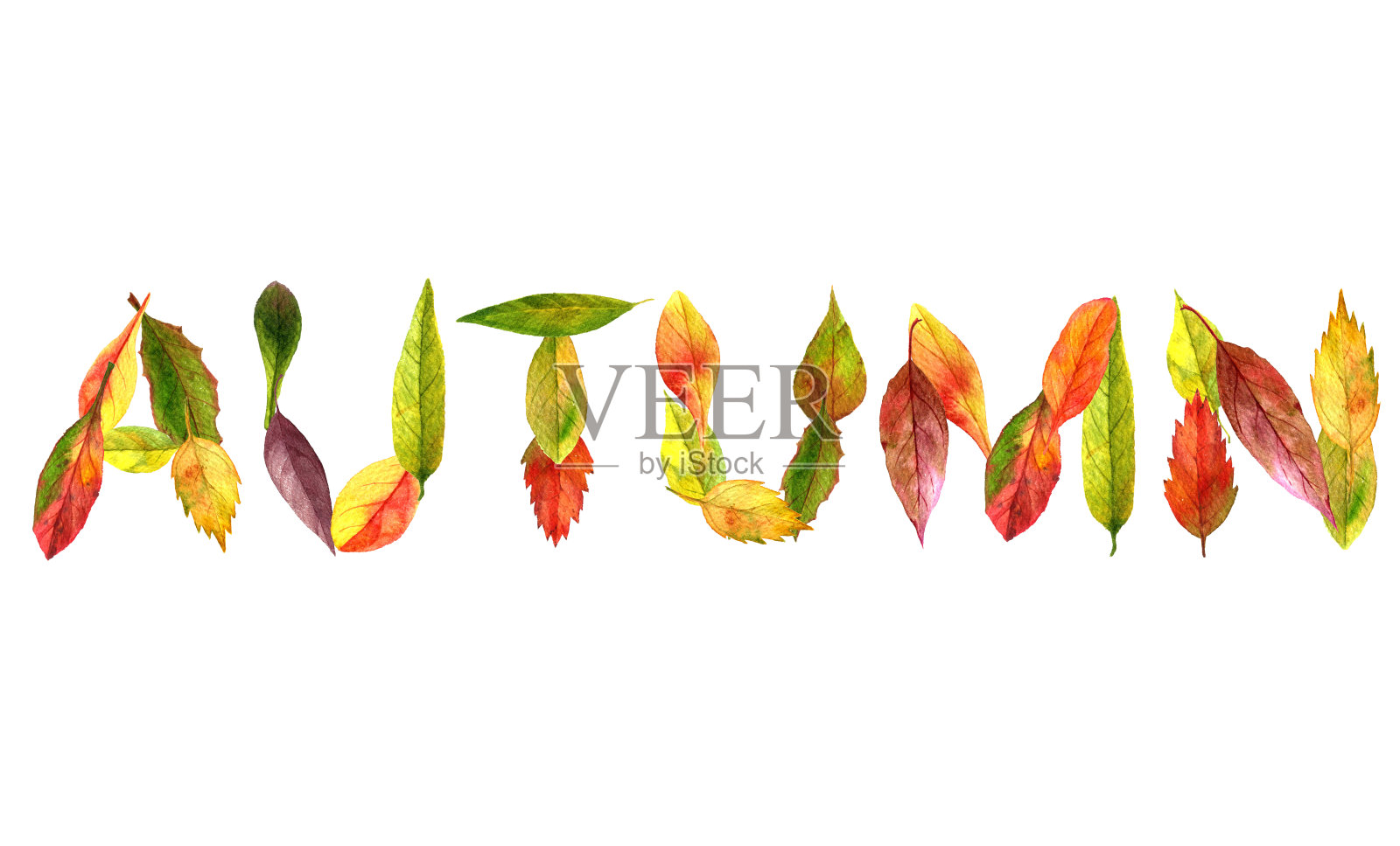“秋天”这个词来自落叶插画图片素材