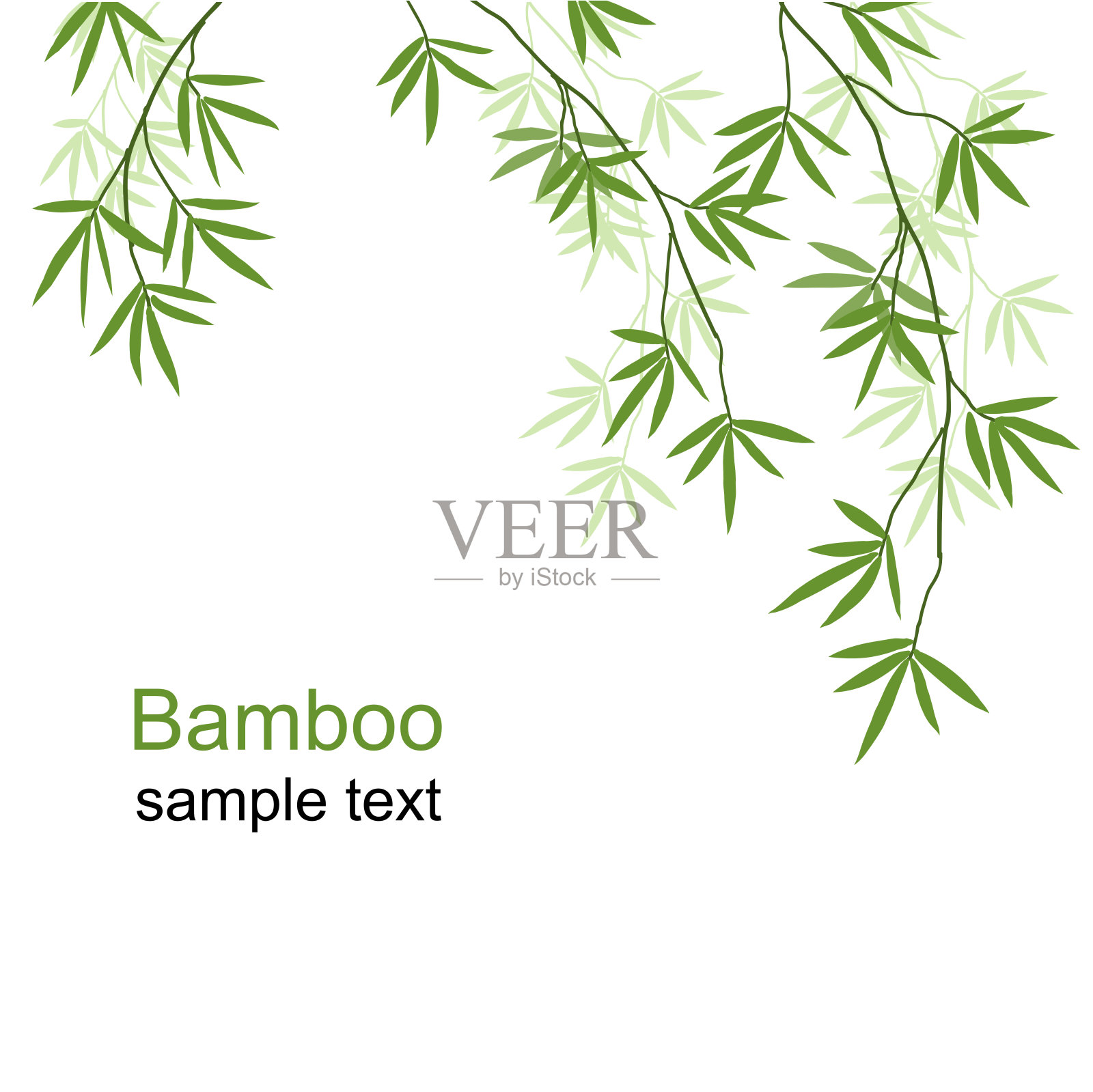 绿色的竹子分支插画图片素材