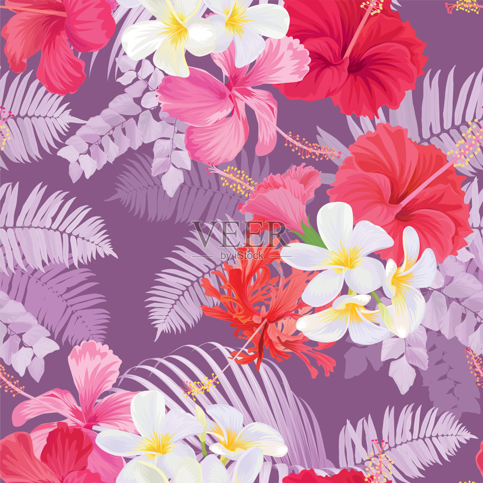 热带无缝模式与木槿和鸡蛋花花与叶在紫色背景。插画图片素材